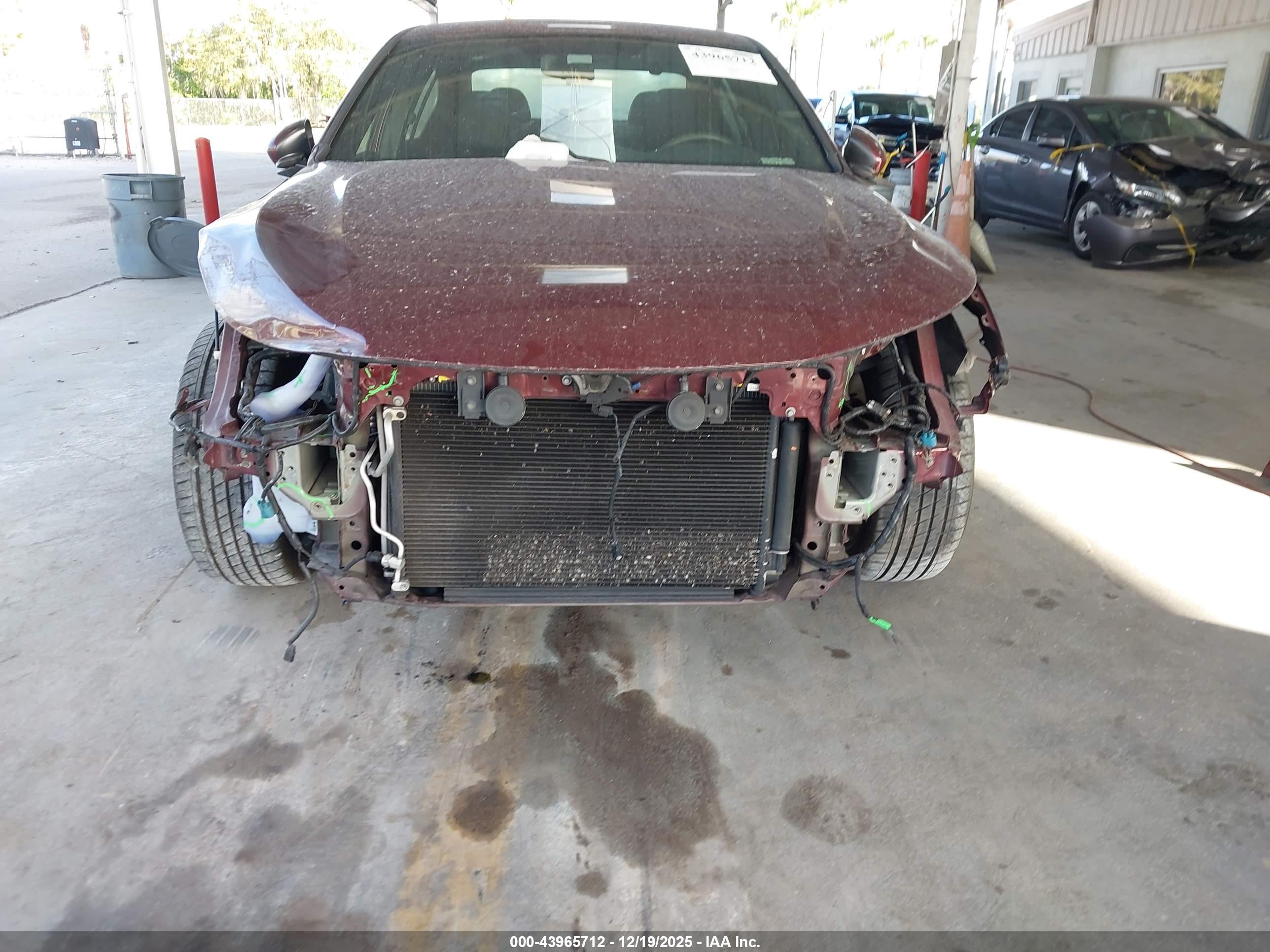 HONDA ACCORD image 6