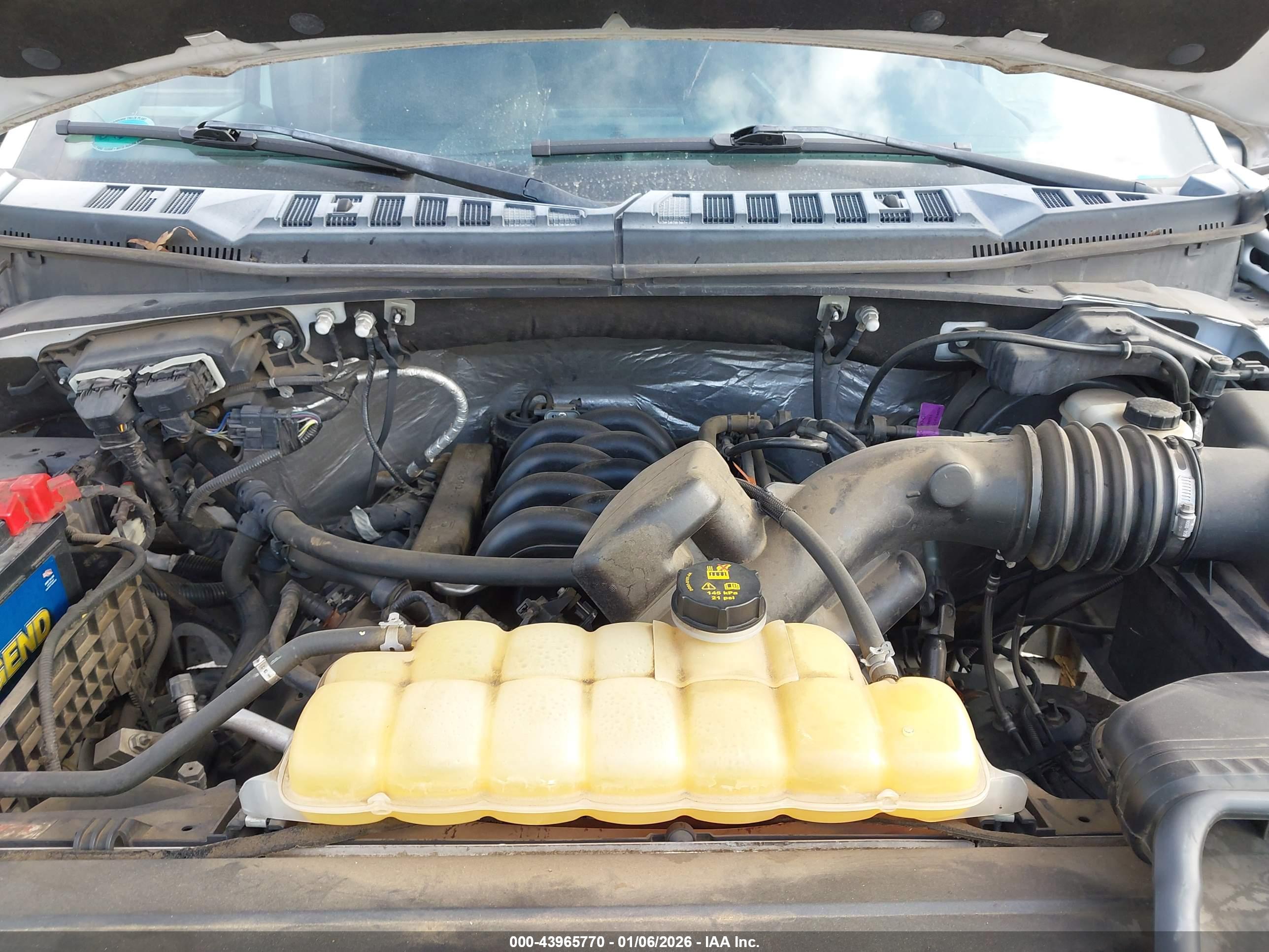 FORD F-150 image 10