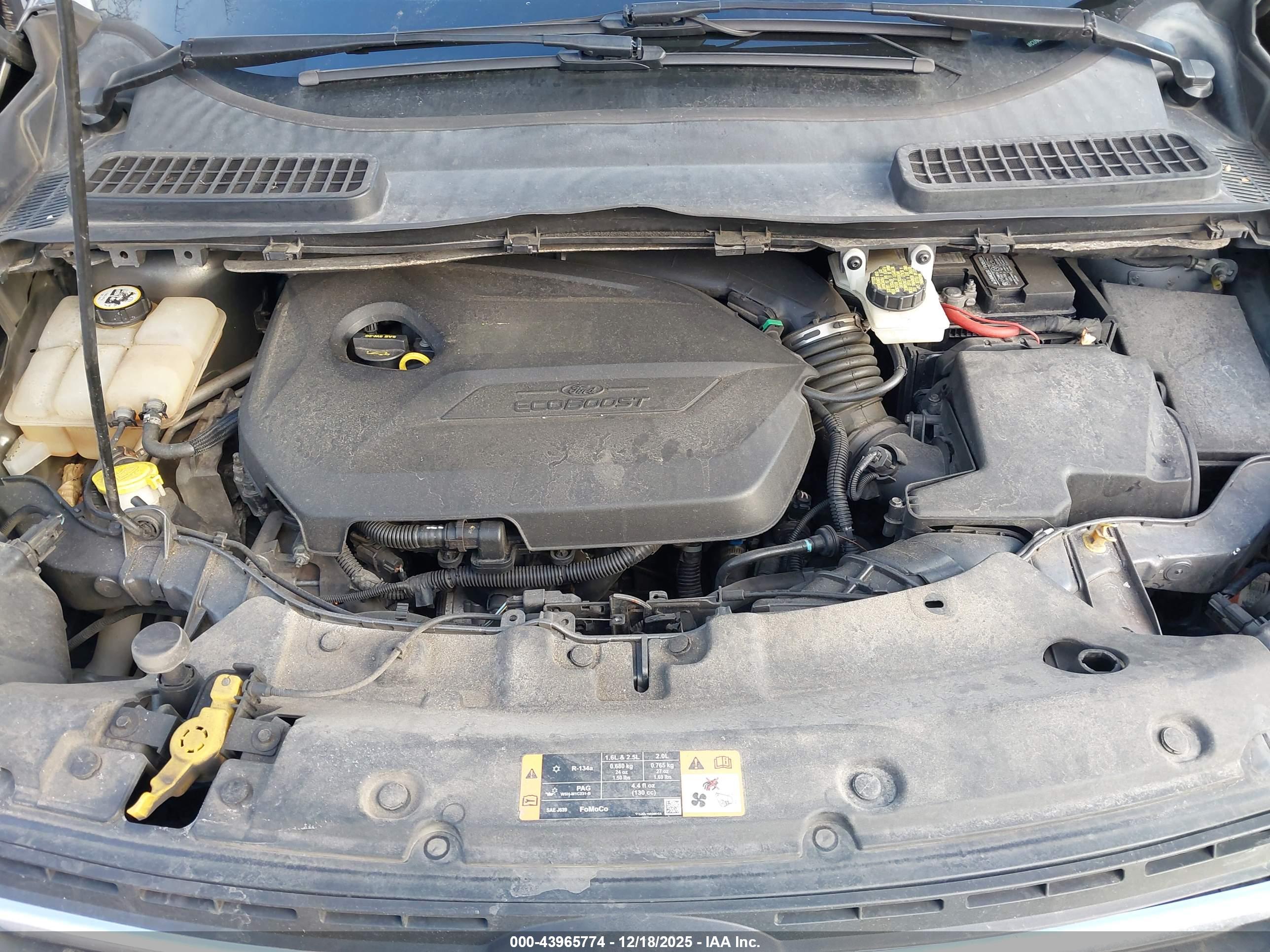 FORD ESCAPE image 10