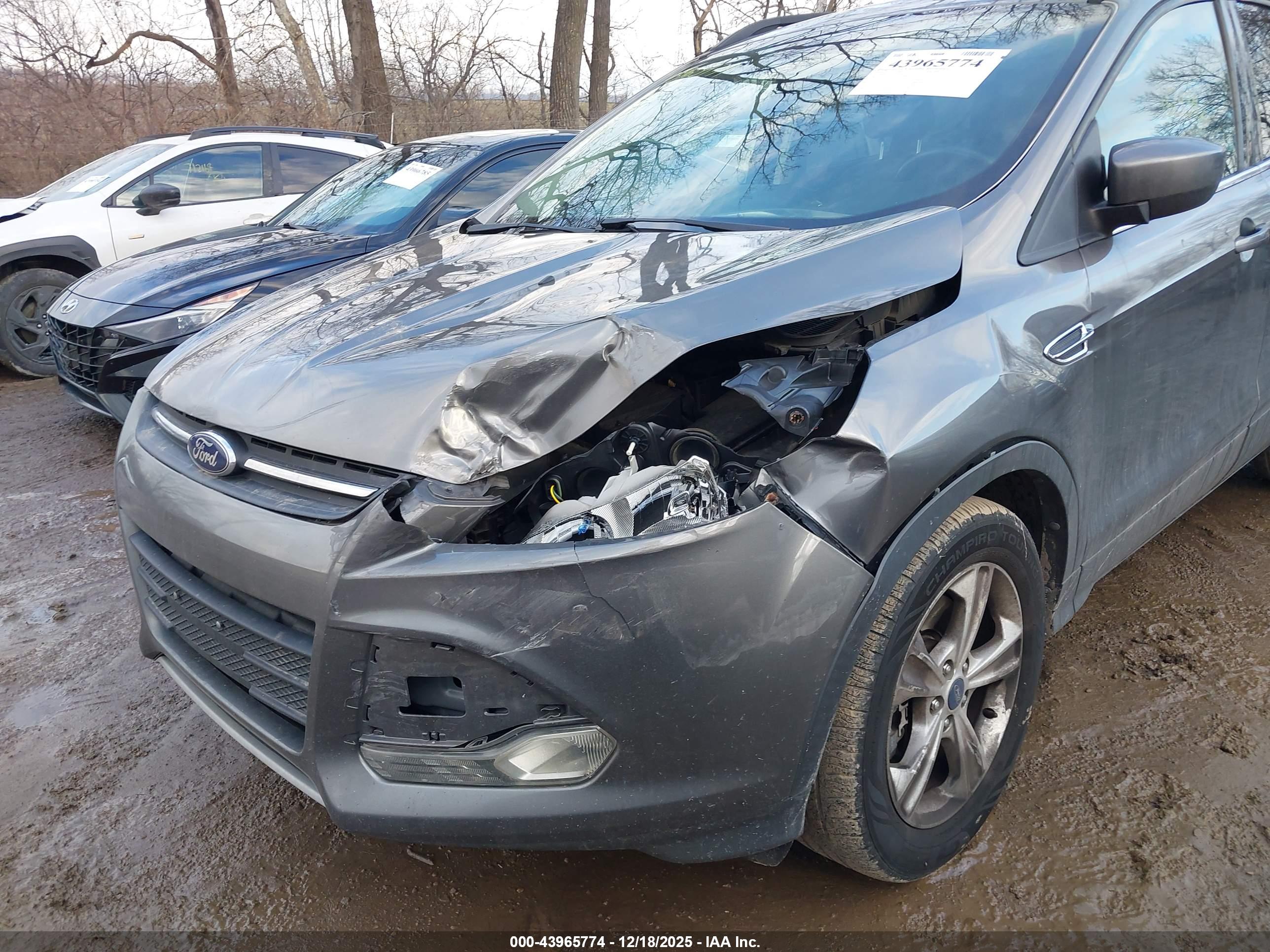 FORD ESCAPE image 6
