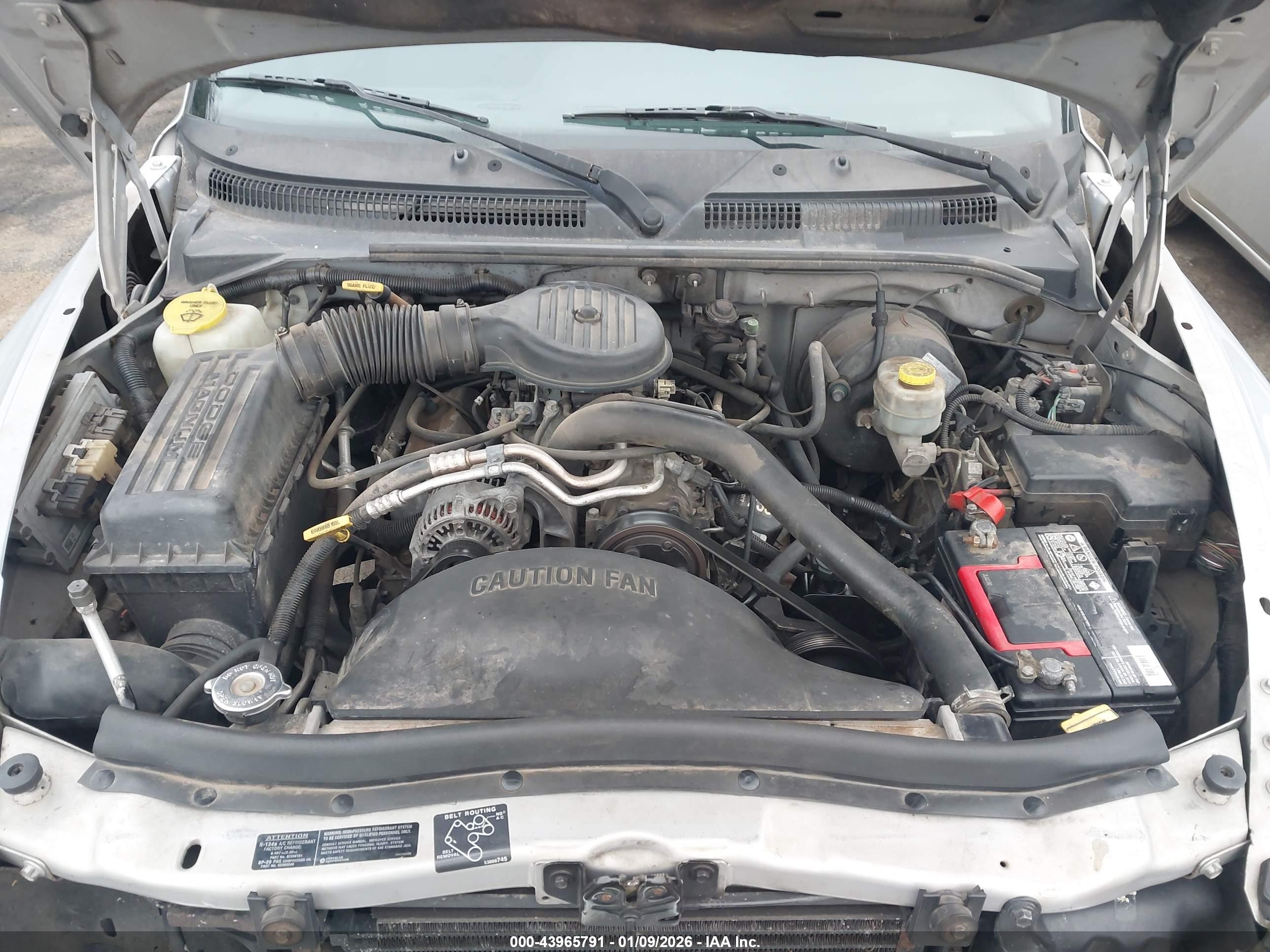 DODGE DAKOTA image 10