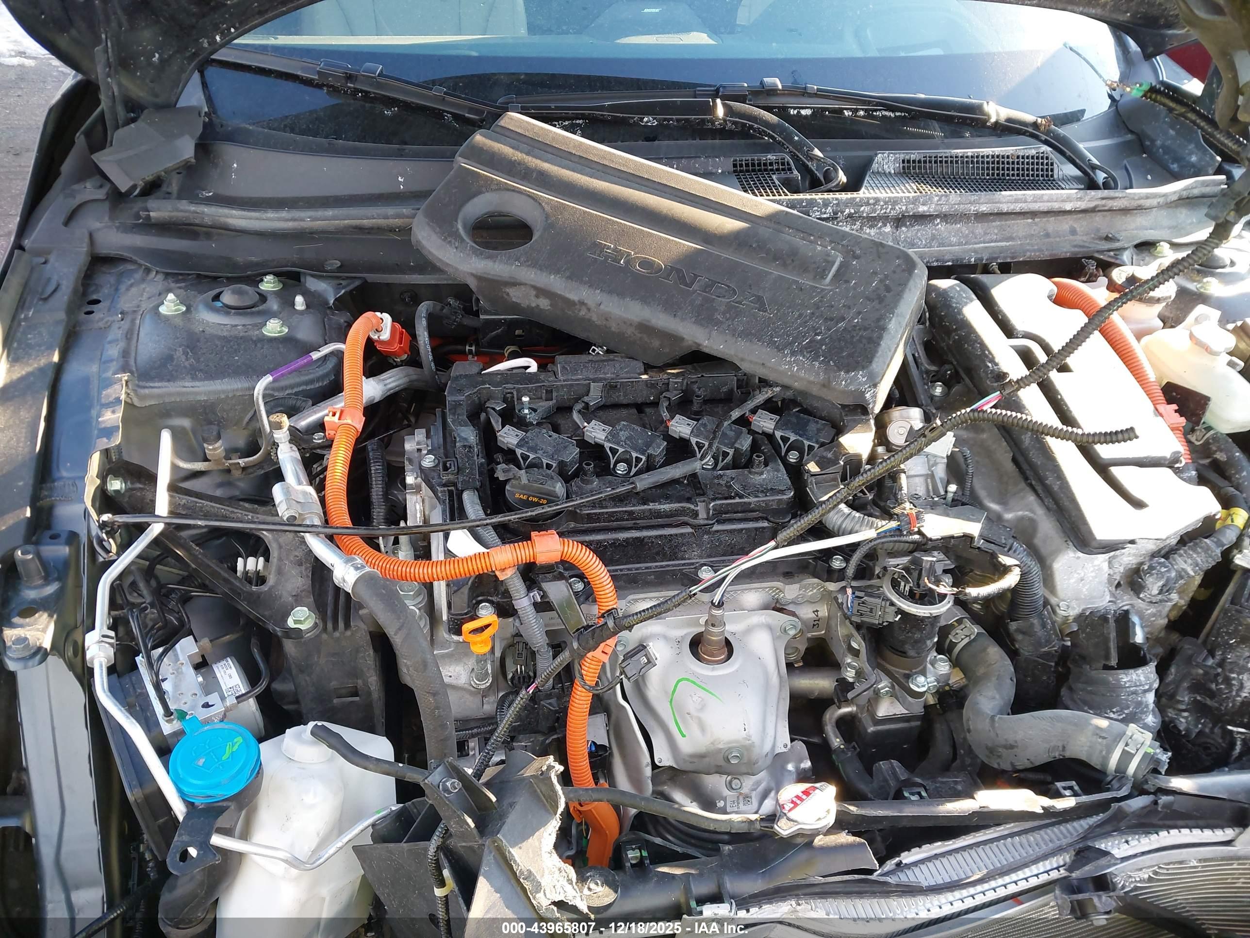 HONDA ACCORD image 10