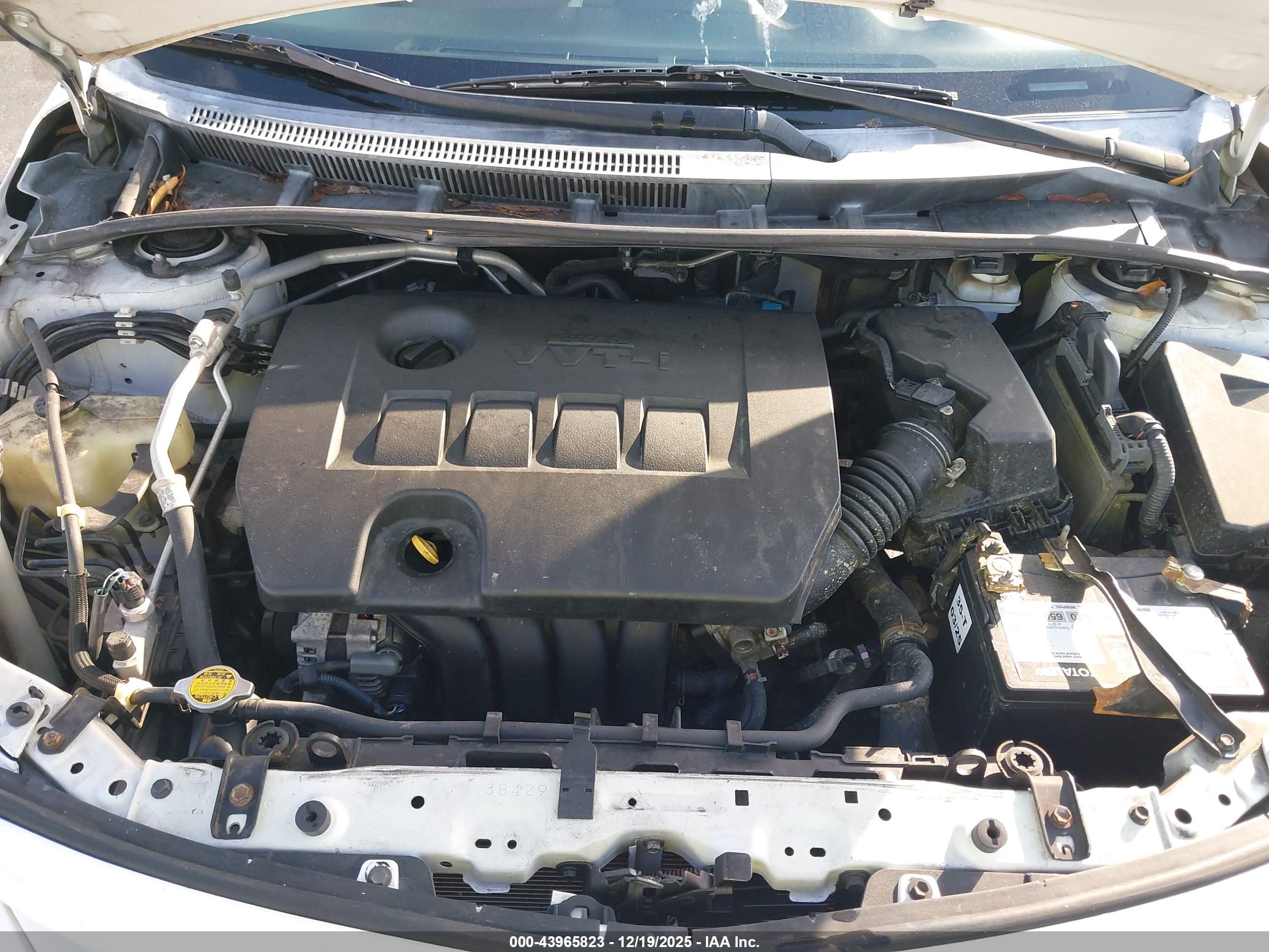 TOYOTA COROLLA image 10