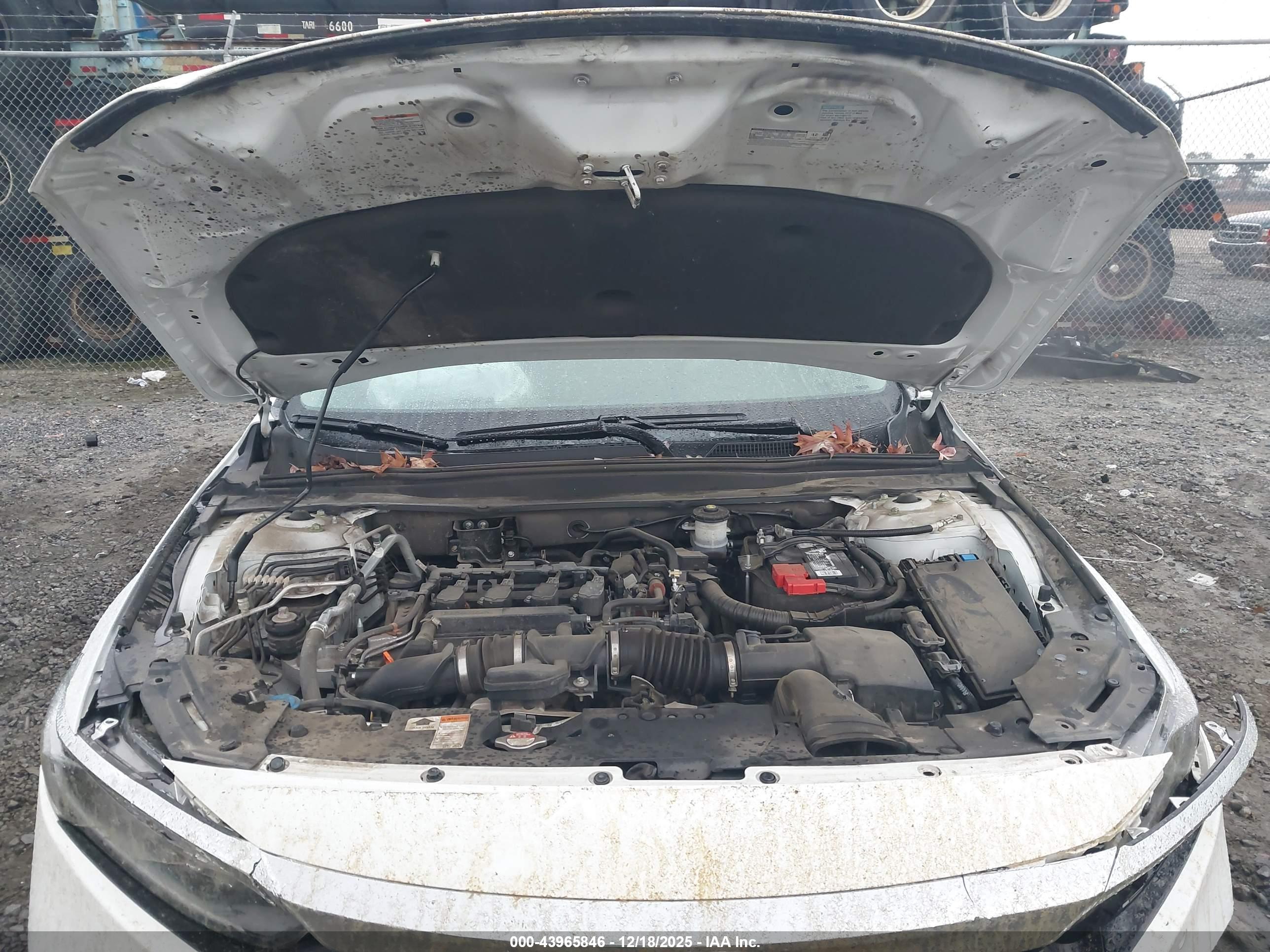 HONDA ACCORD image 10