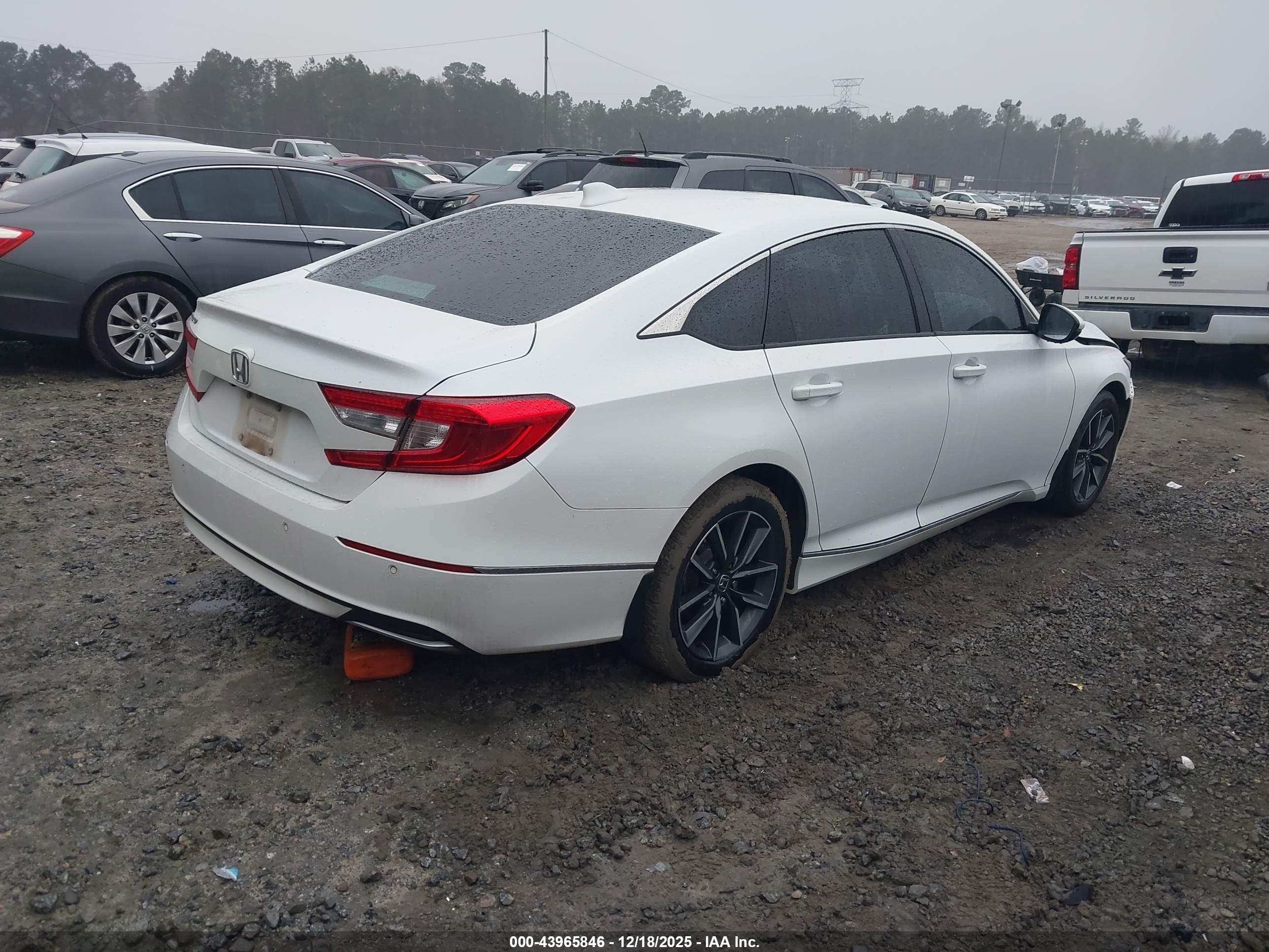 HONDA ACCORD image 4