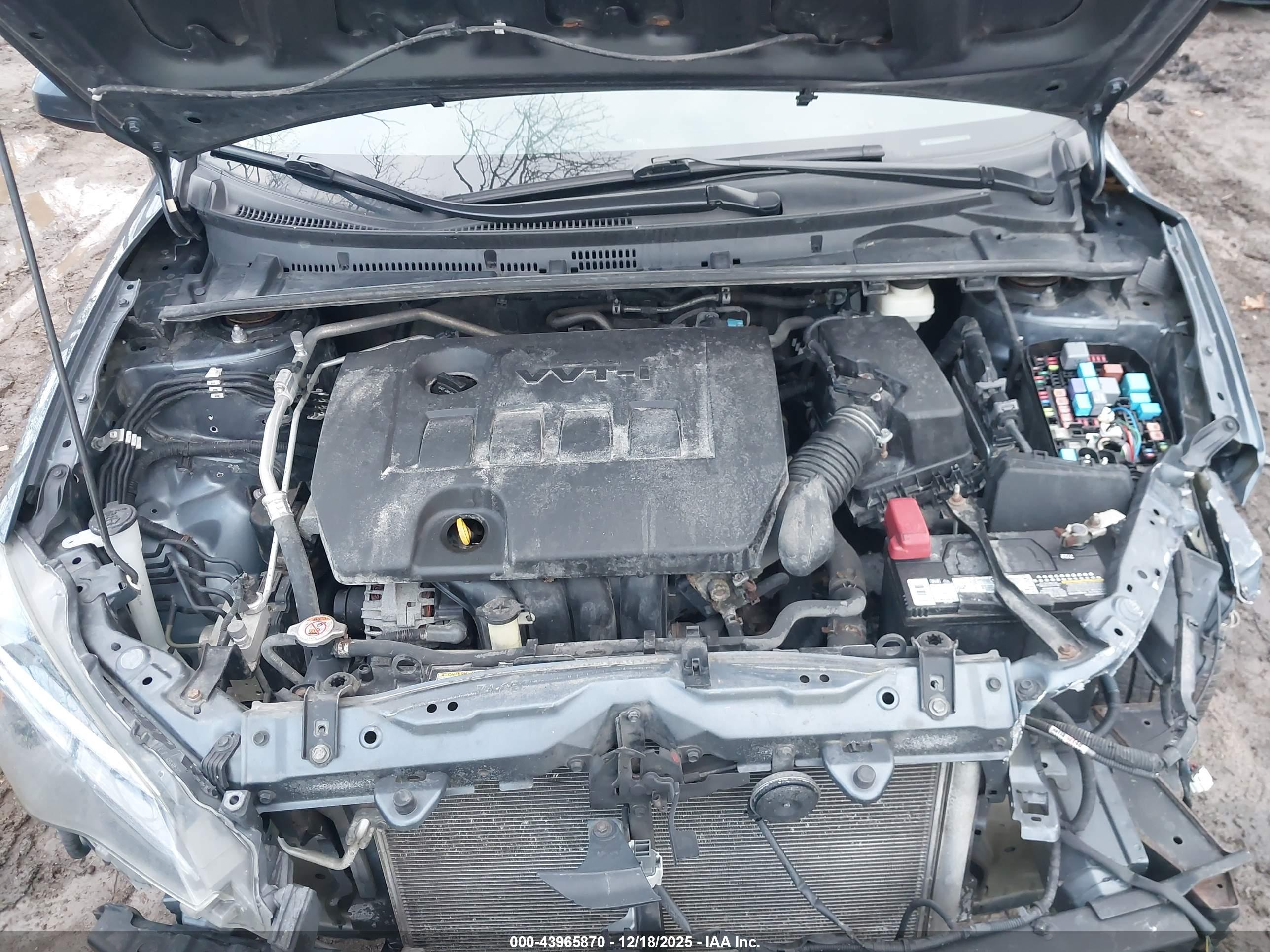 TOYOTA COROLLA image 10