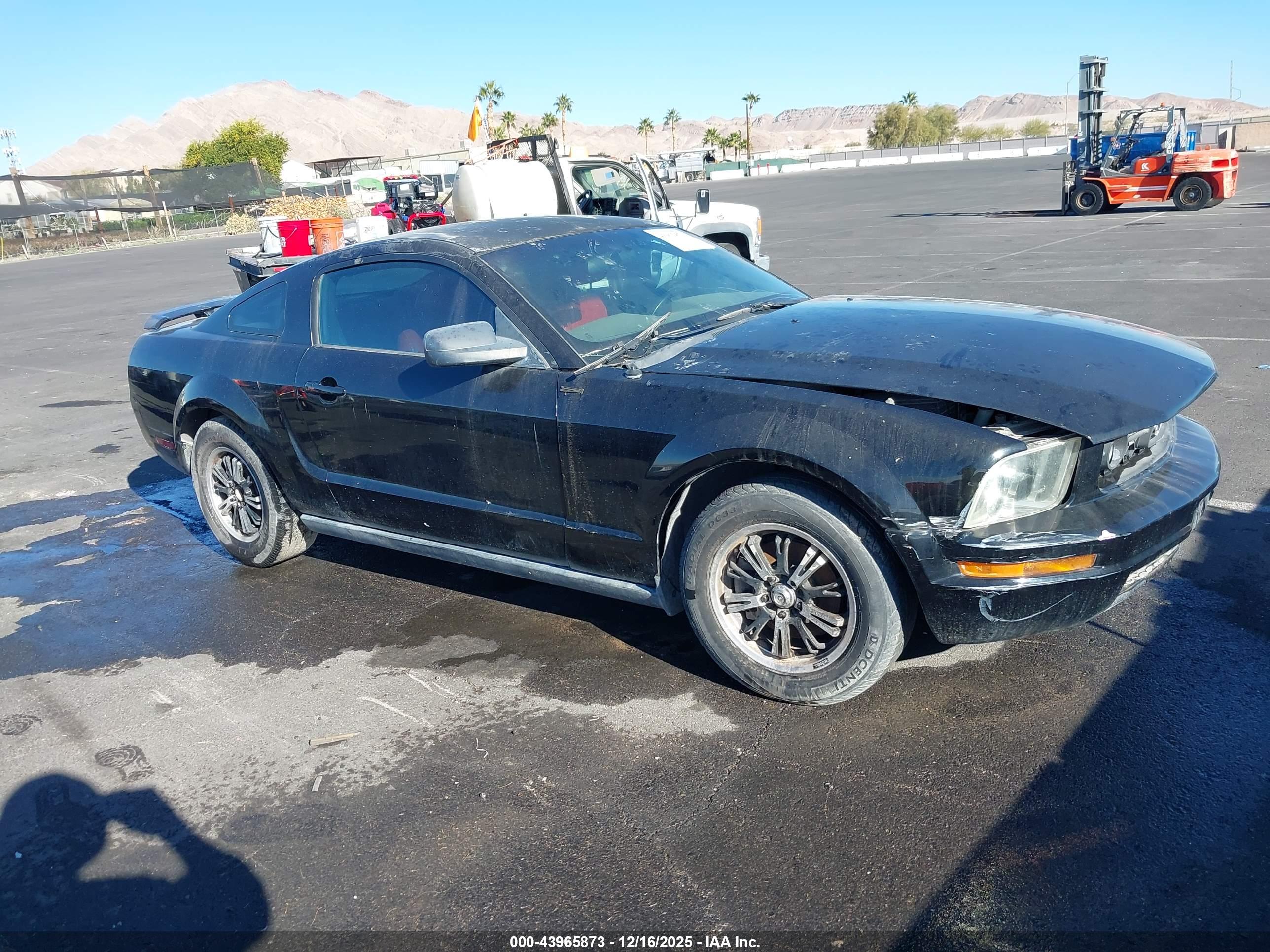FORD MUSTANG image 6