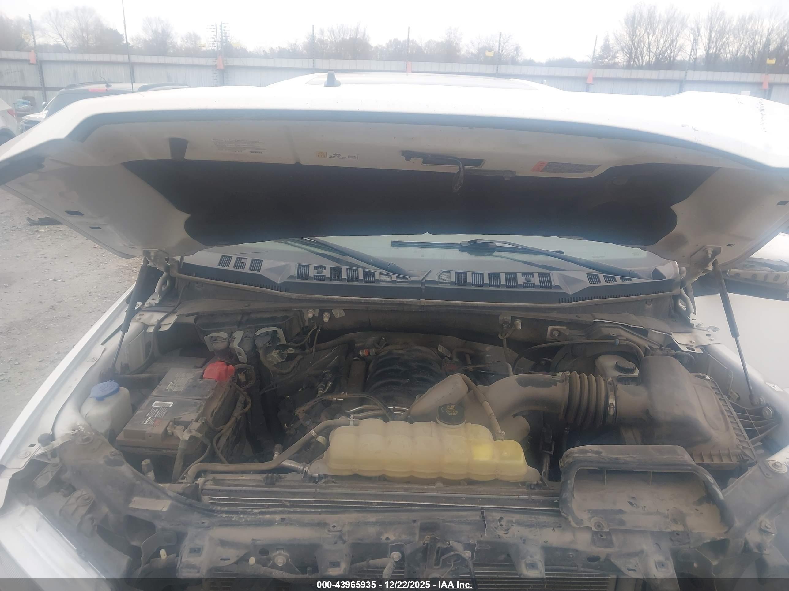 FORD F-150 image 10