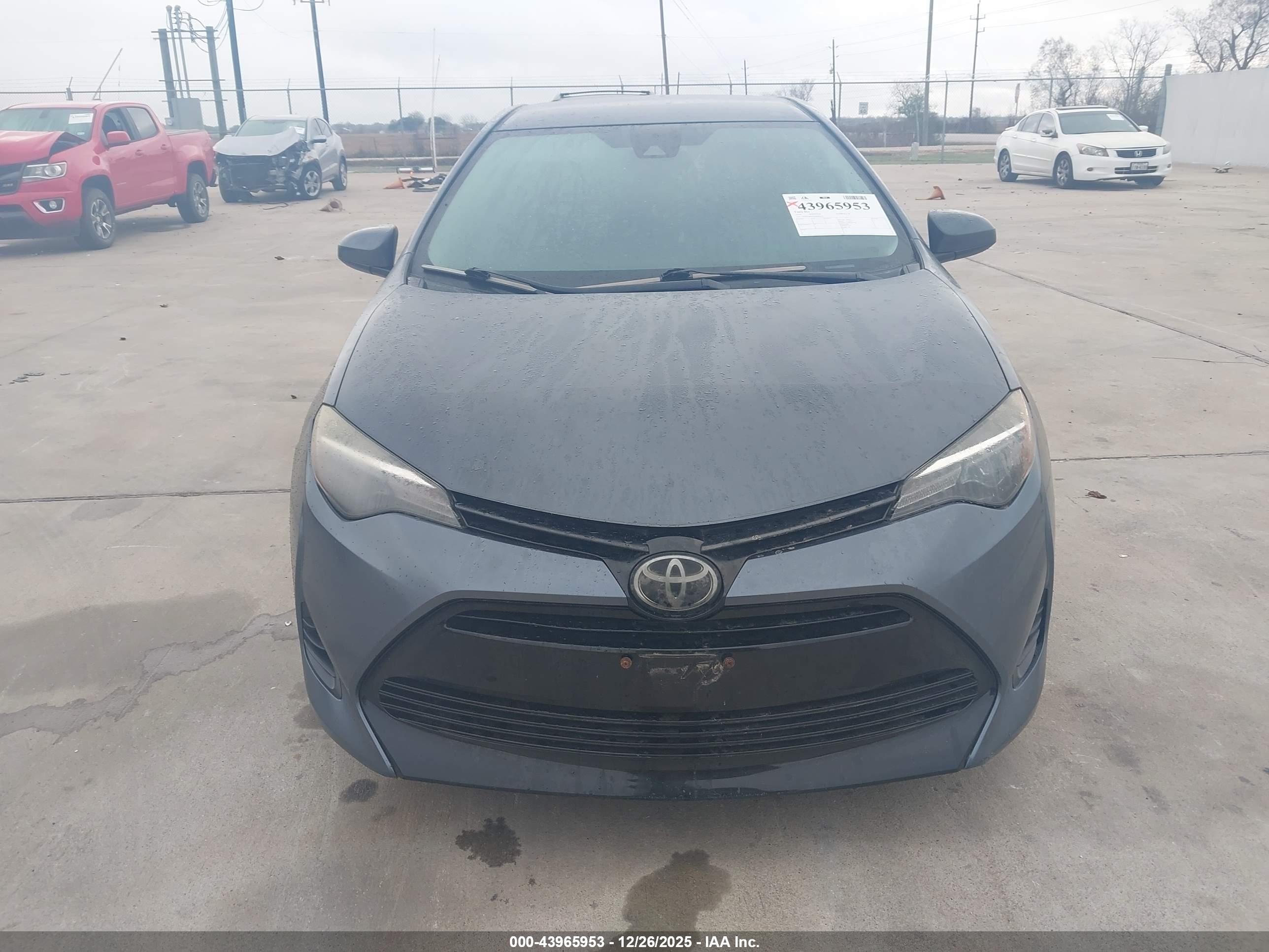 TOYOTA COROLLA image 6
