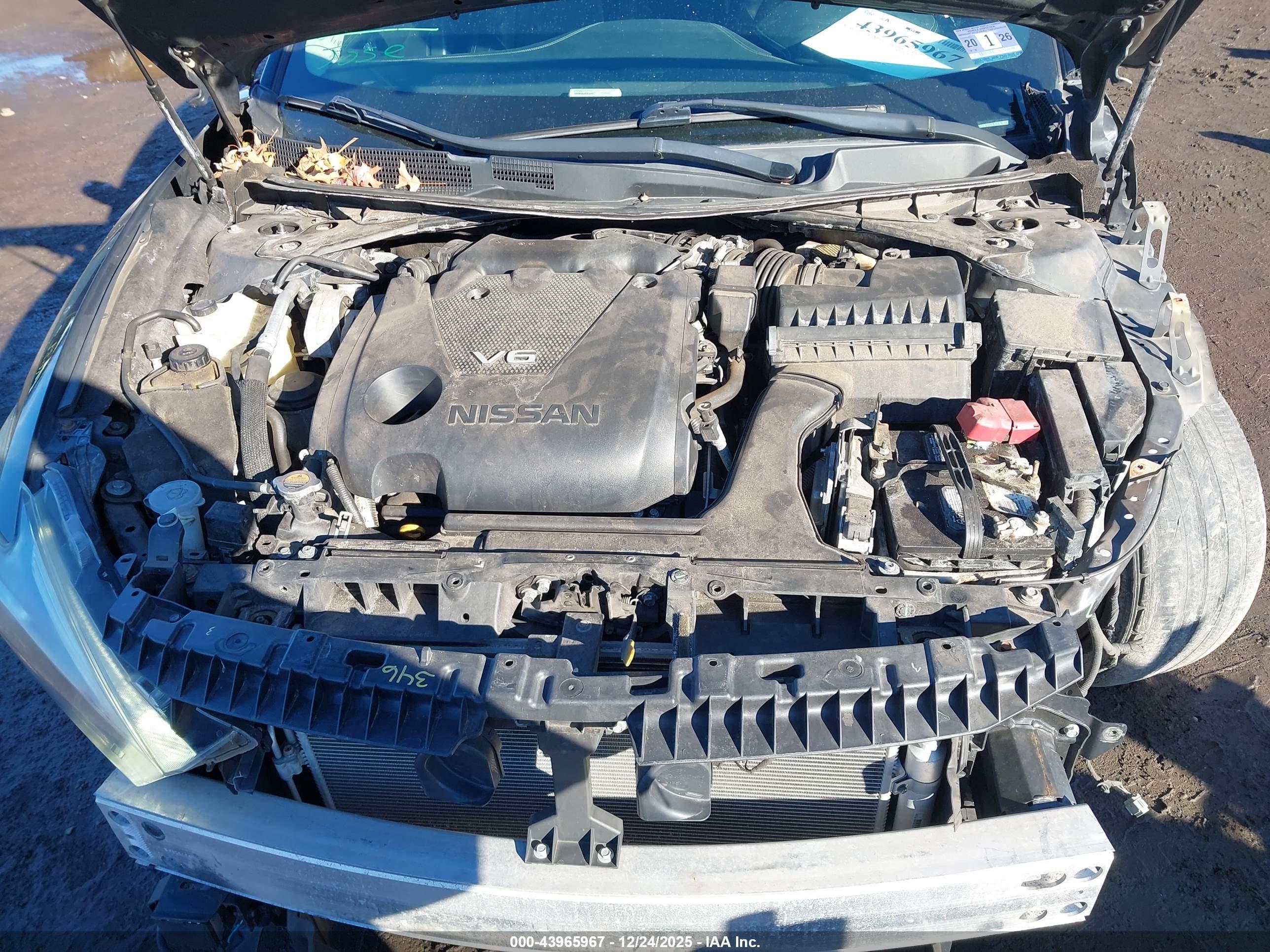 NISSAN MAXIMA image 10