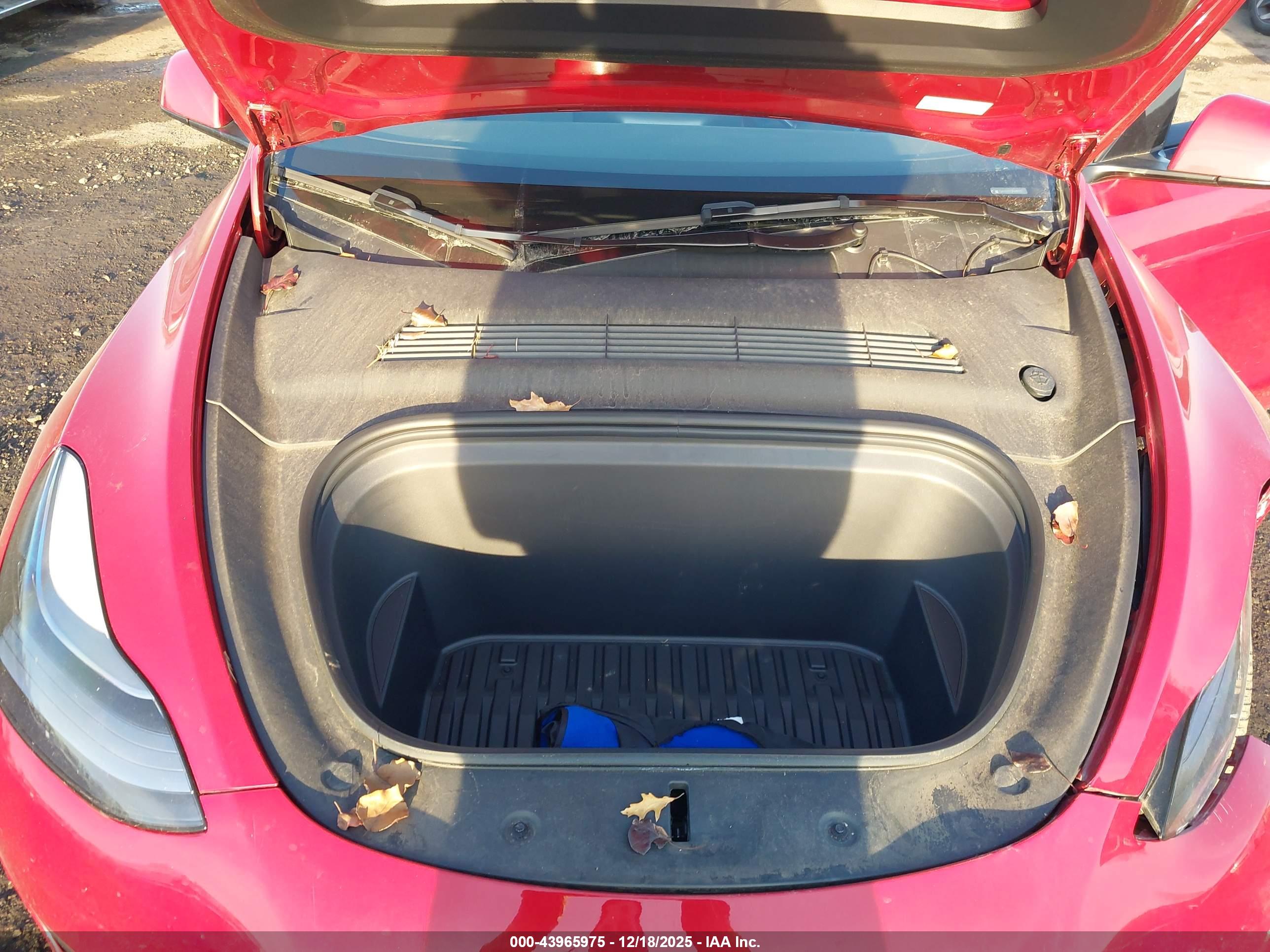 TESLA MODEL image 10