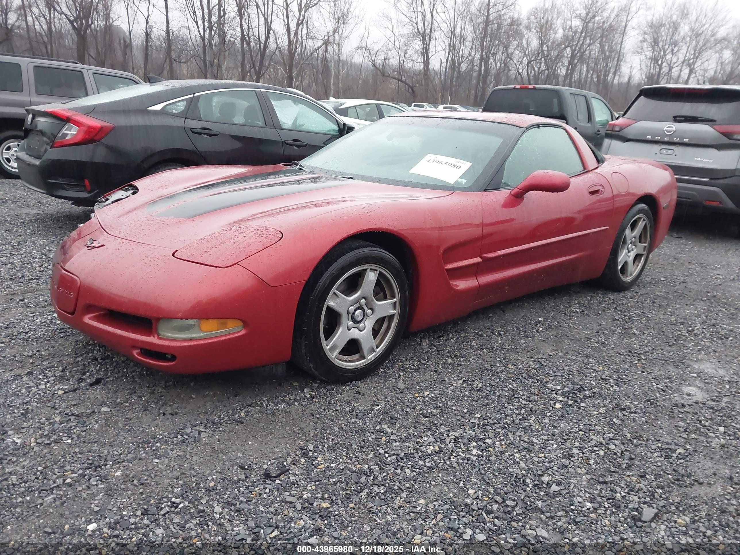 CHEVROLET CORVETTE image 2