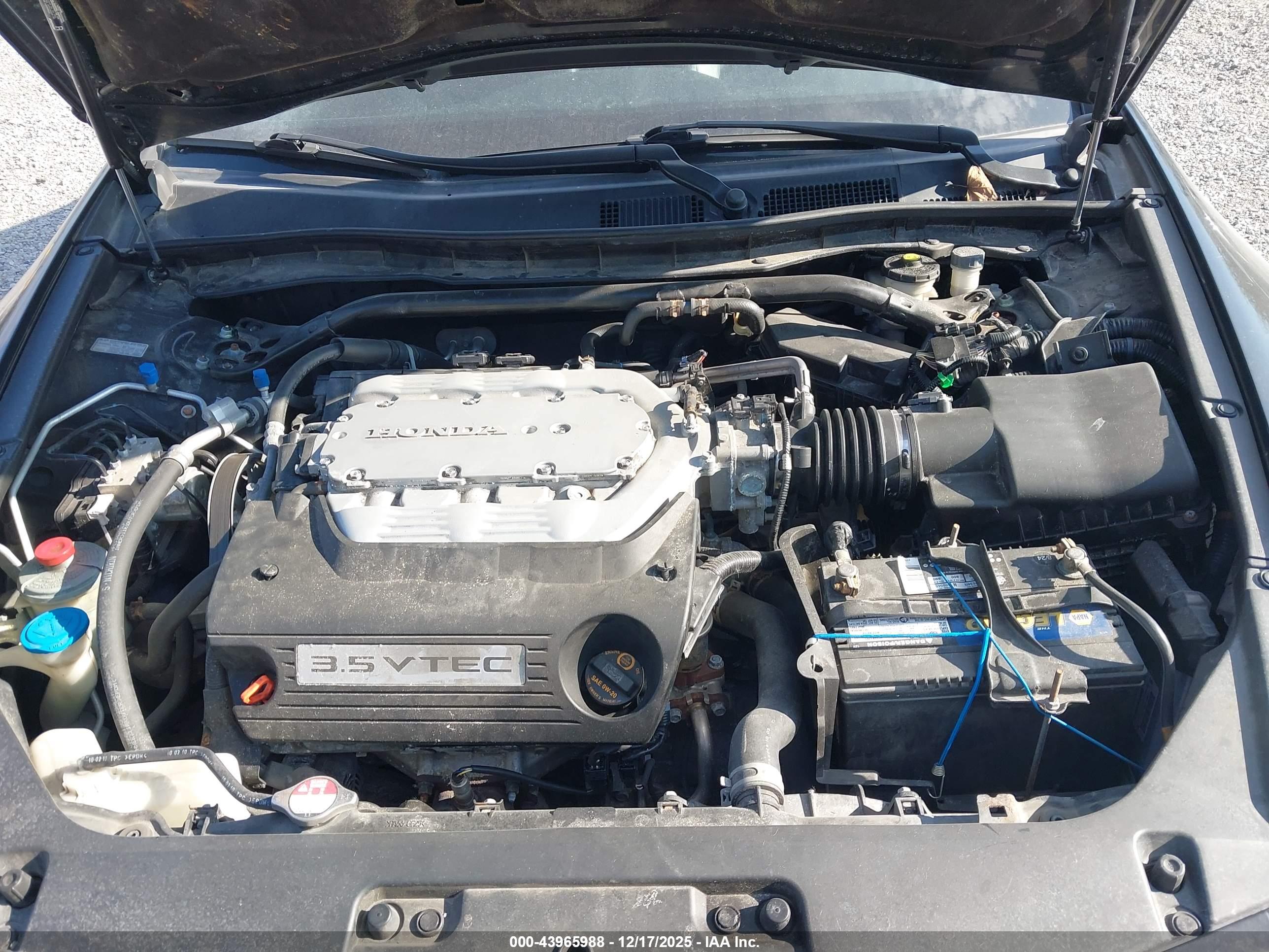 HONDA ACCORD image 10