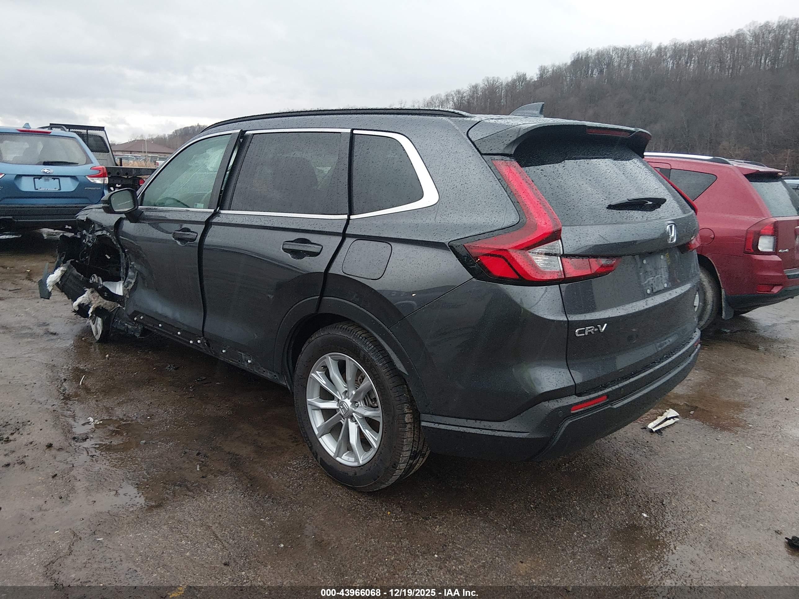 HONDA CR-V image 3