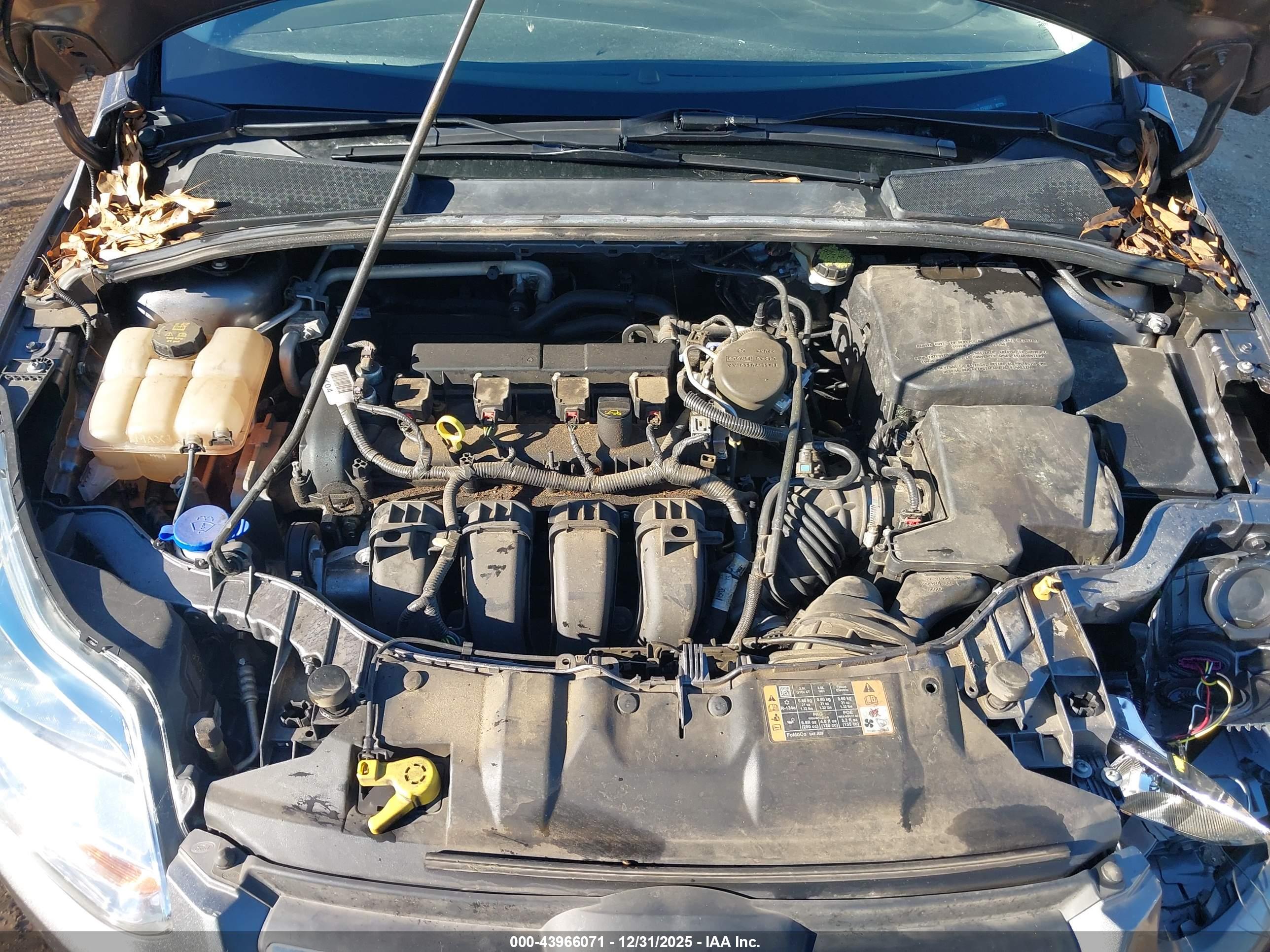 FORD FOCUS image 10