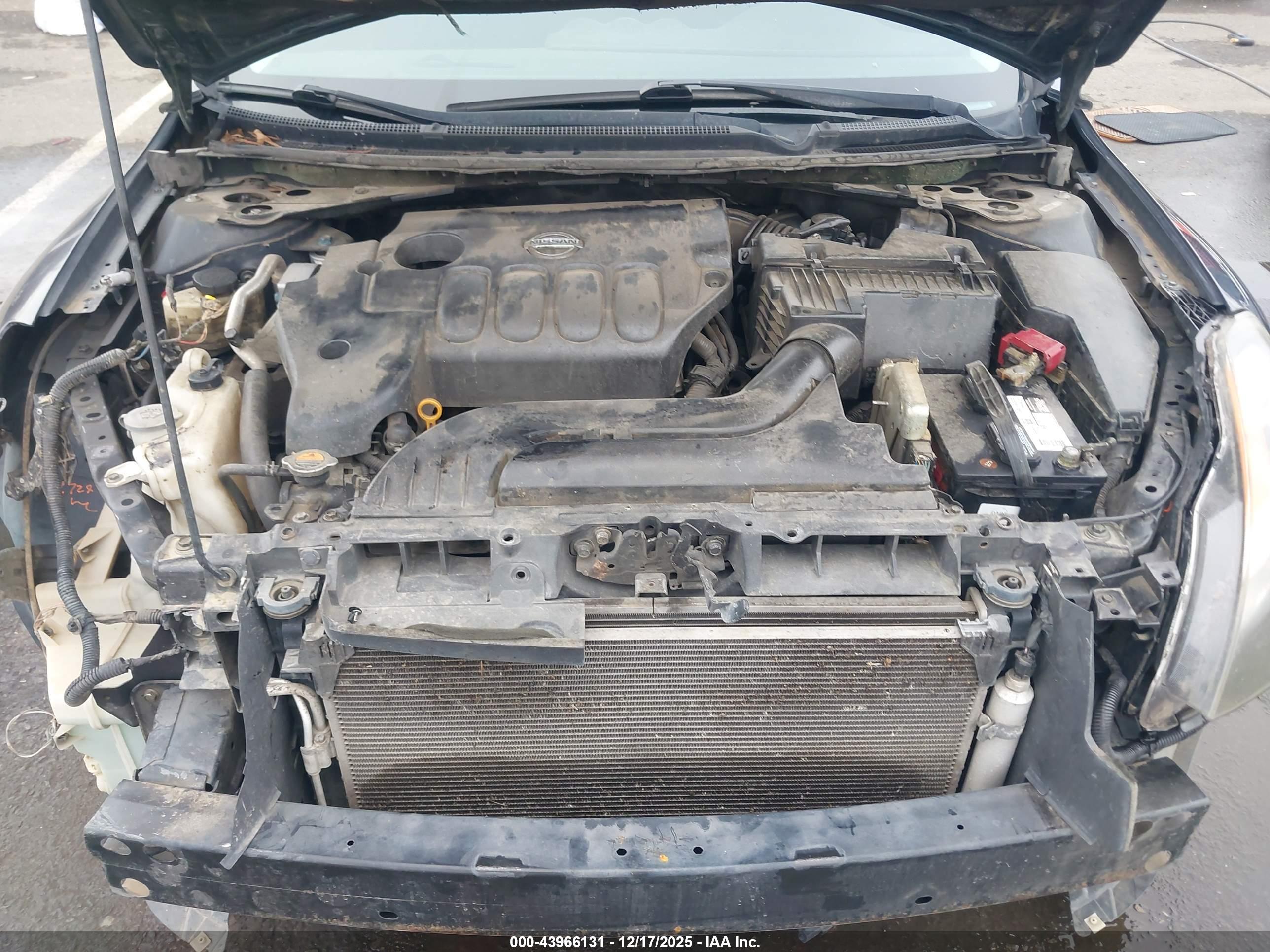 NISSAN ALTIMA image 10