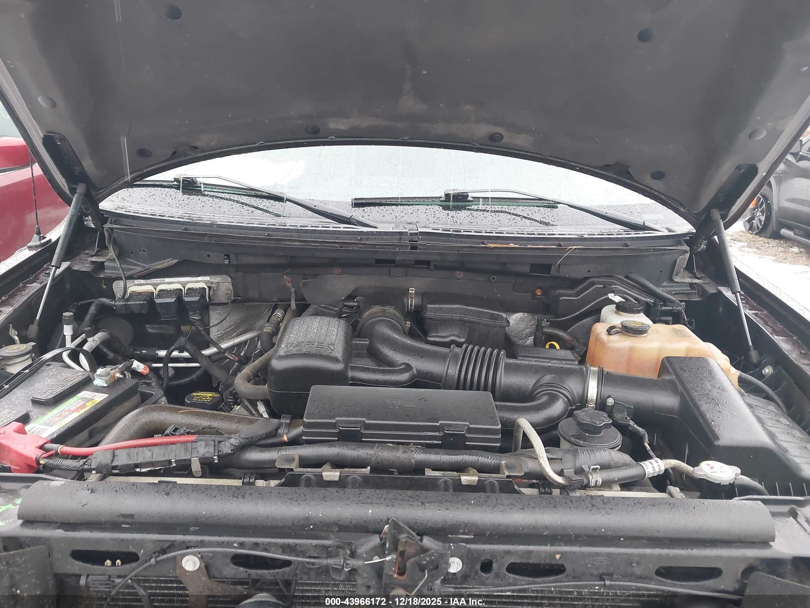 FORD F-150 image 10
