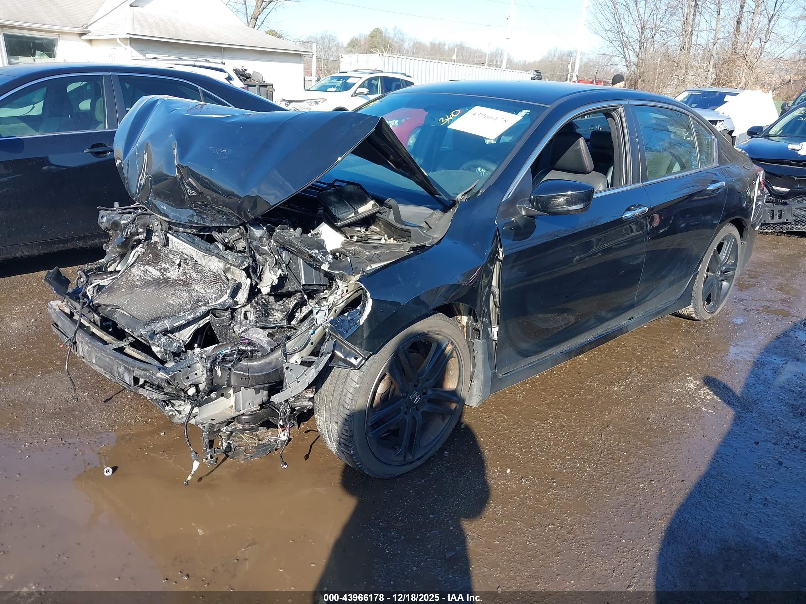 HONDA ACCORD image 2