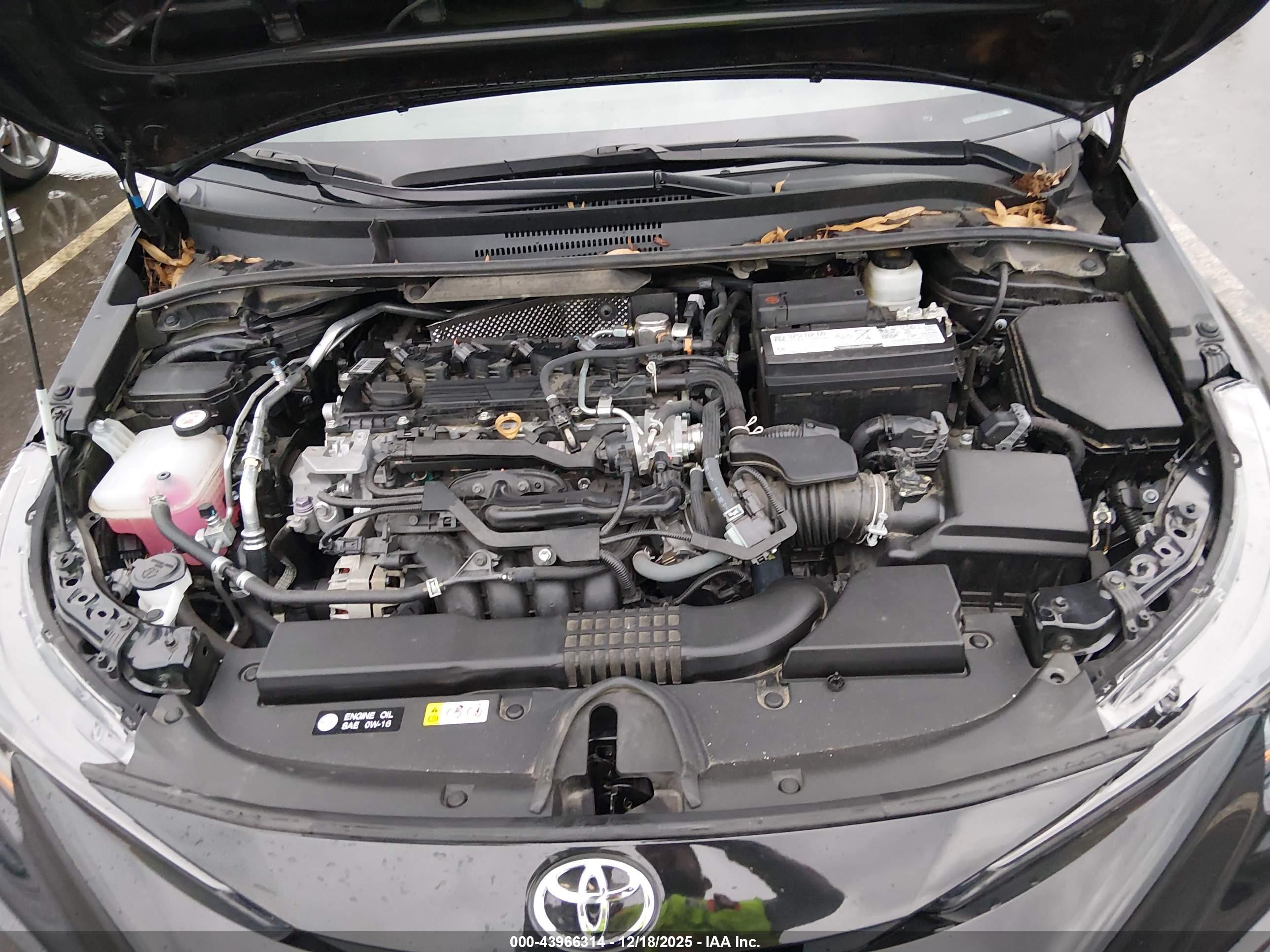 TOYOTA COROLLA image 10