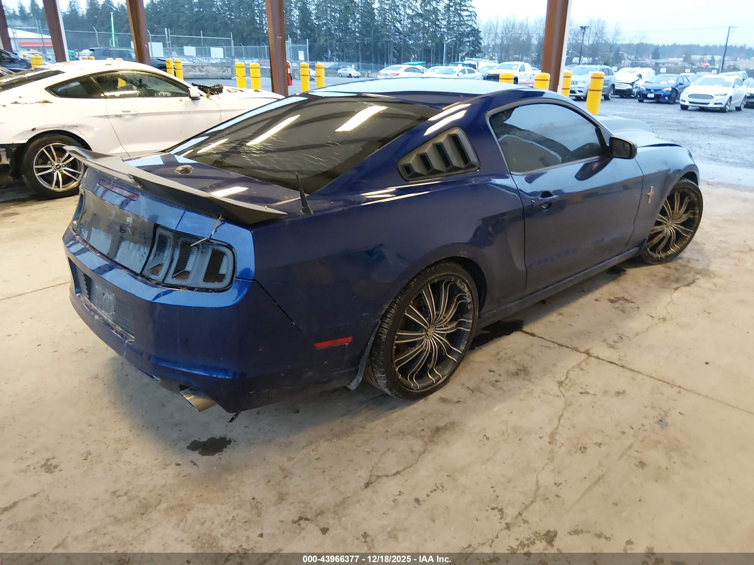 FORD MUSTANG image 4