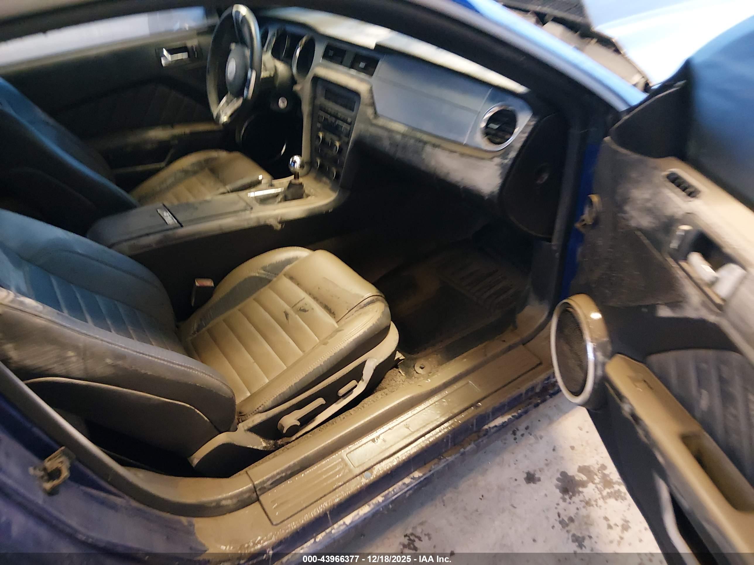 FORD MUSTANG image 5
