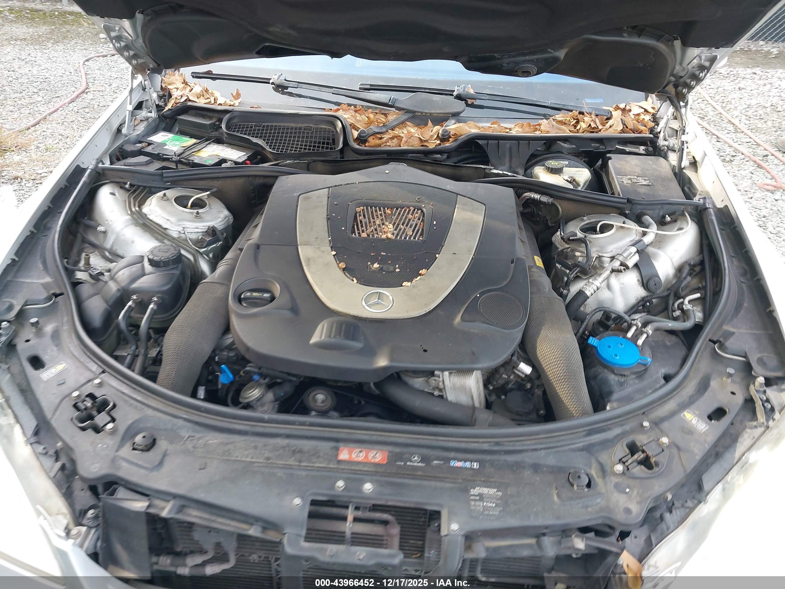 MERCEDES-BENZ S image 10
