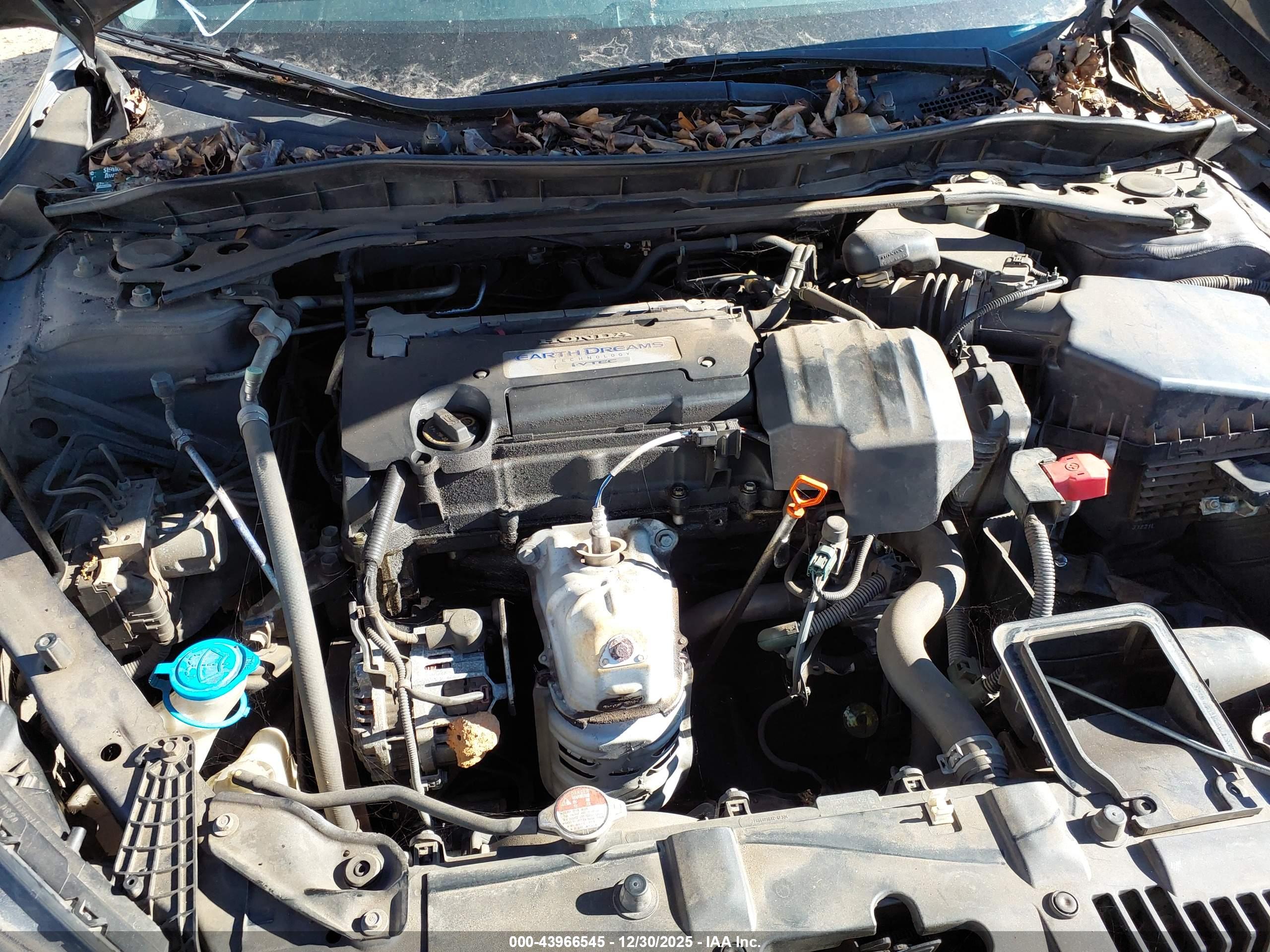 HONDA ACCORD image 10