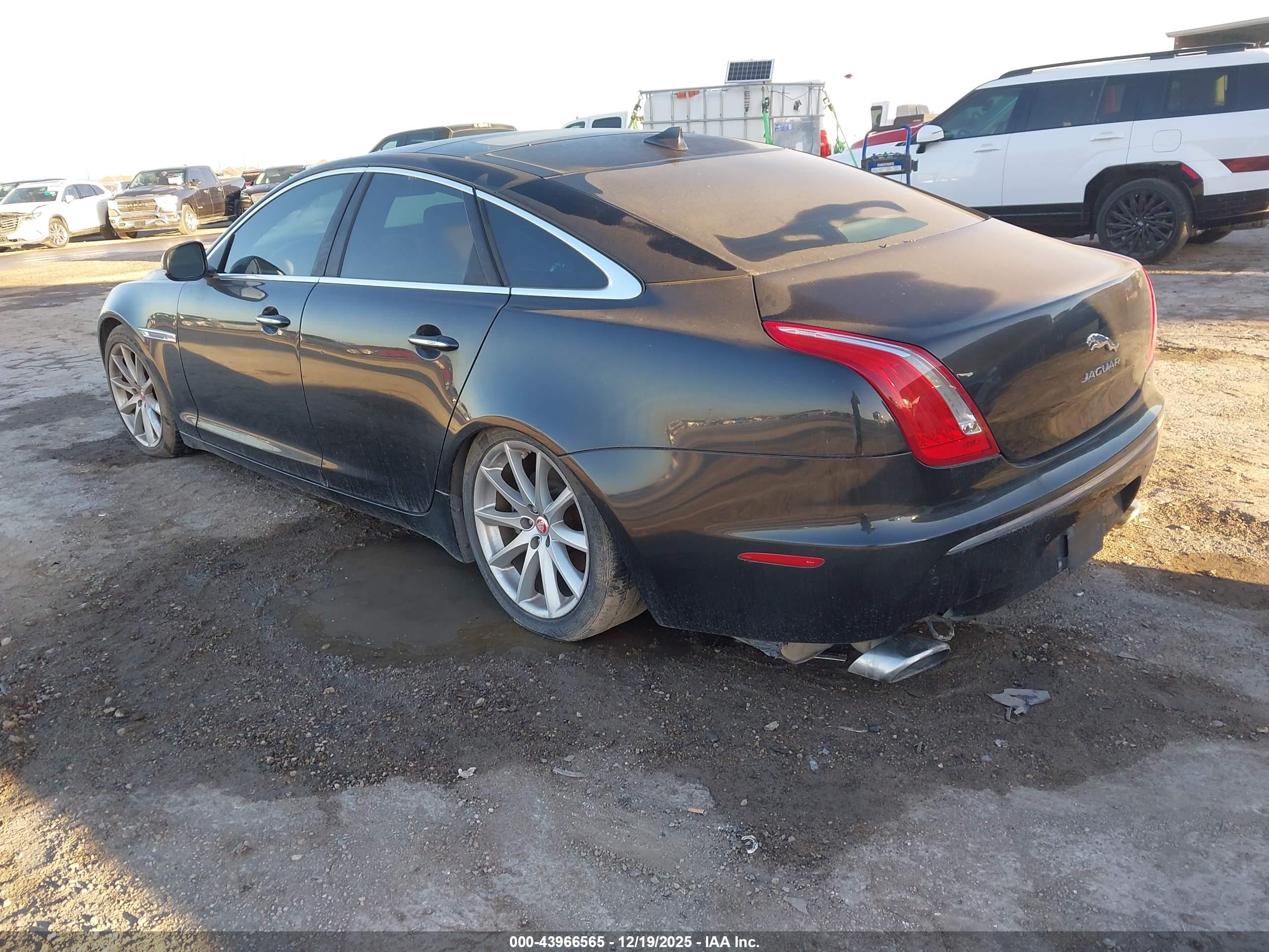 JAGUAR XJ image 3
