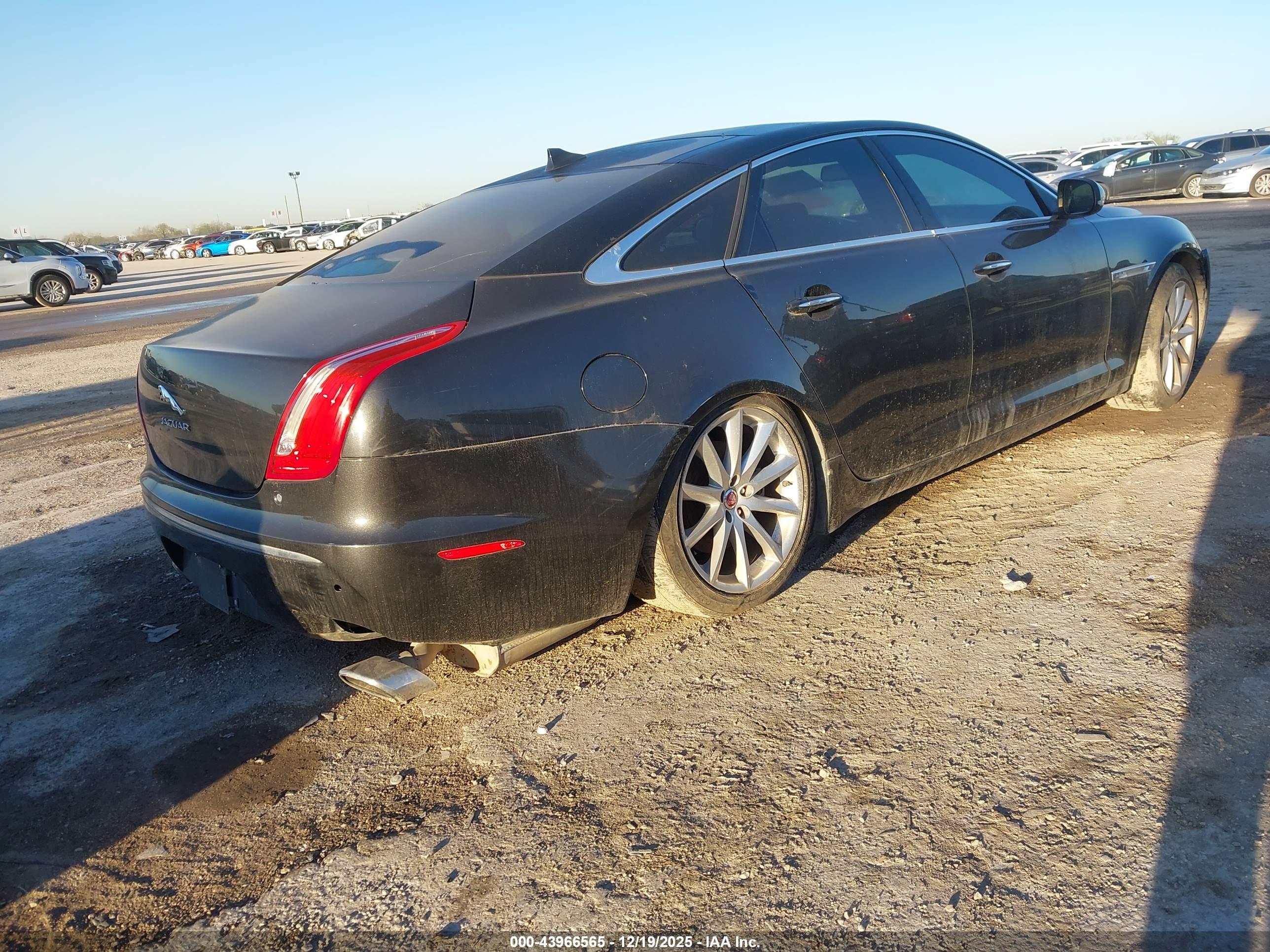 JAGUAR XJ image 4
