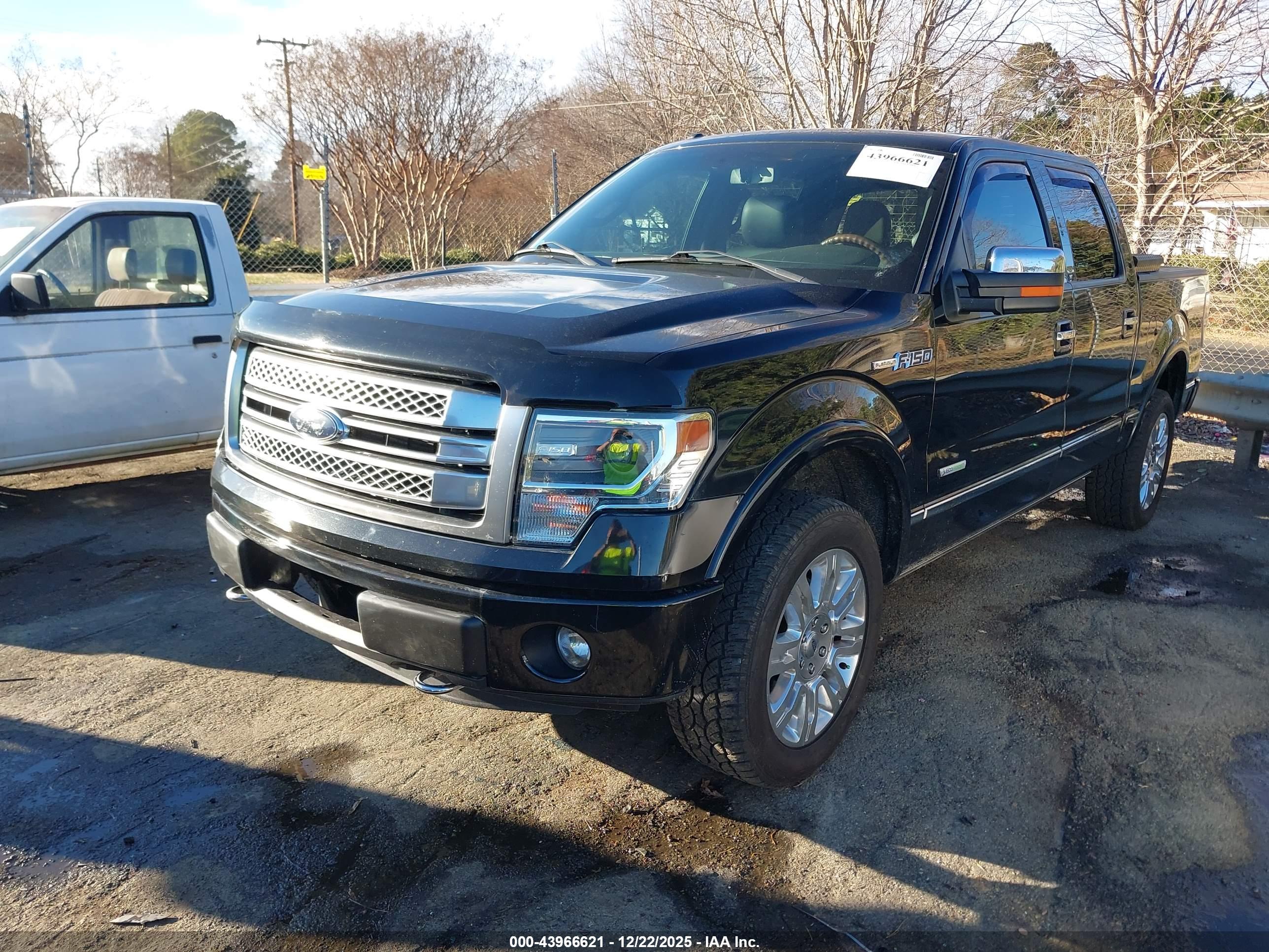 FORD F-150 image 2