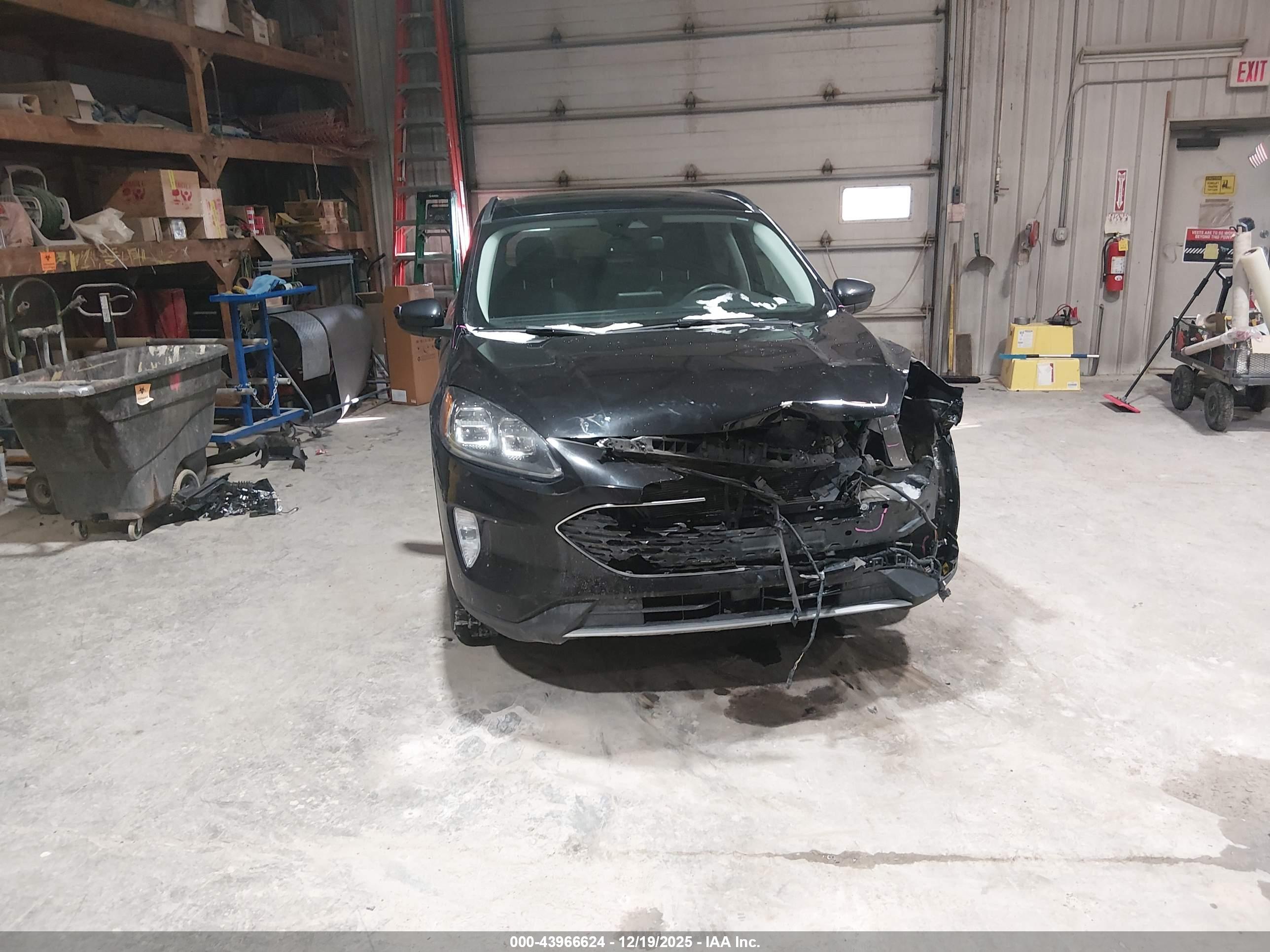 FORD ESCAPE image 6
