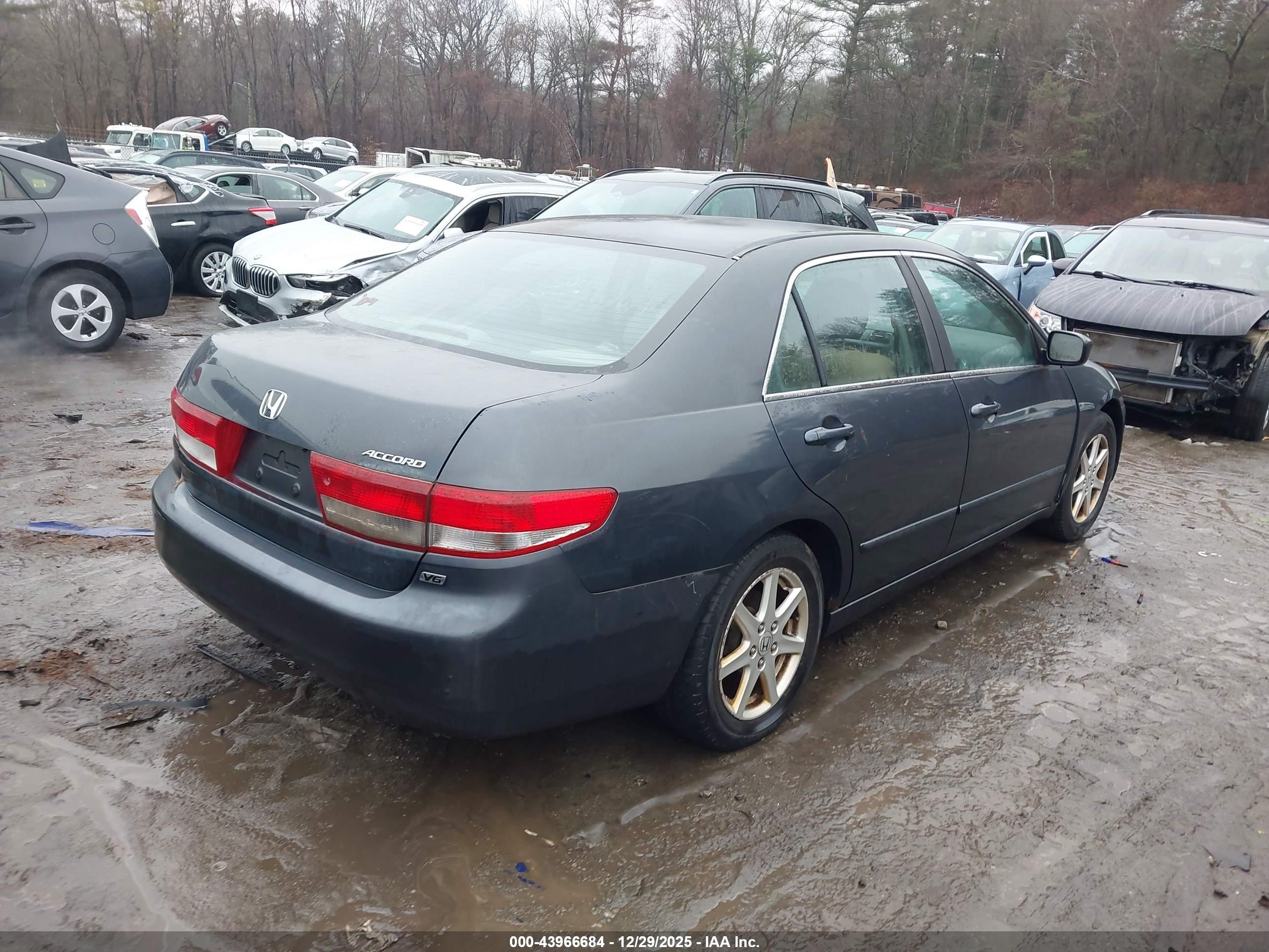 HONDA ACCORD image 4