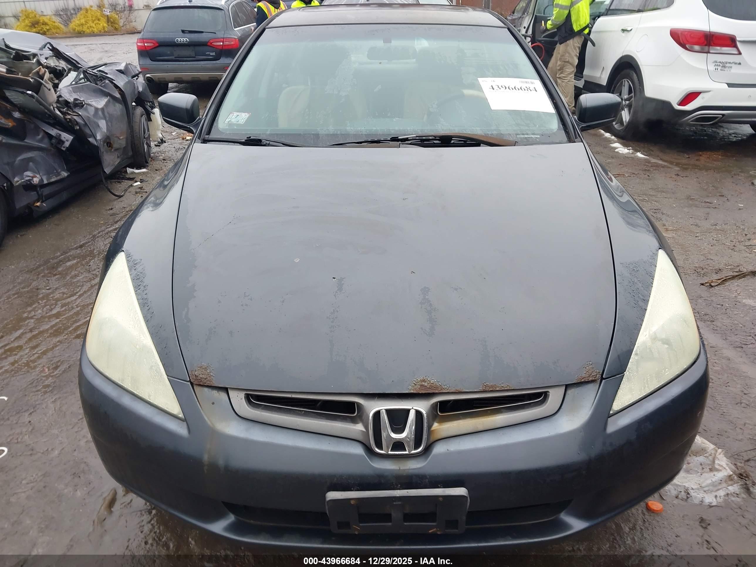 HONDA ACCORD image 6