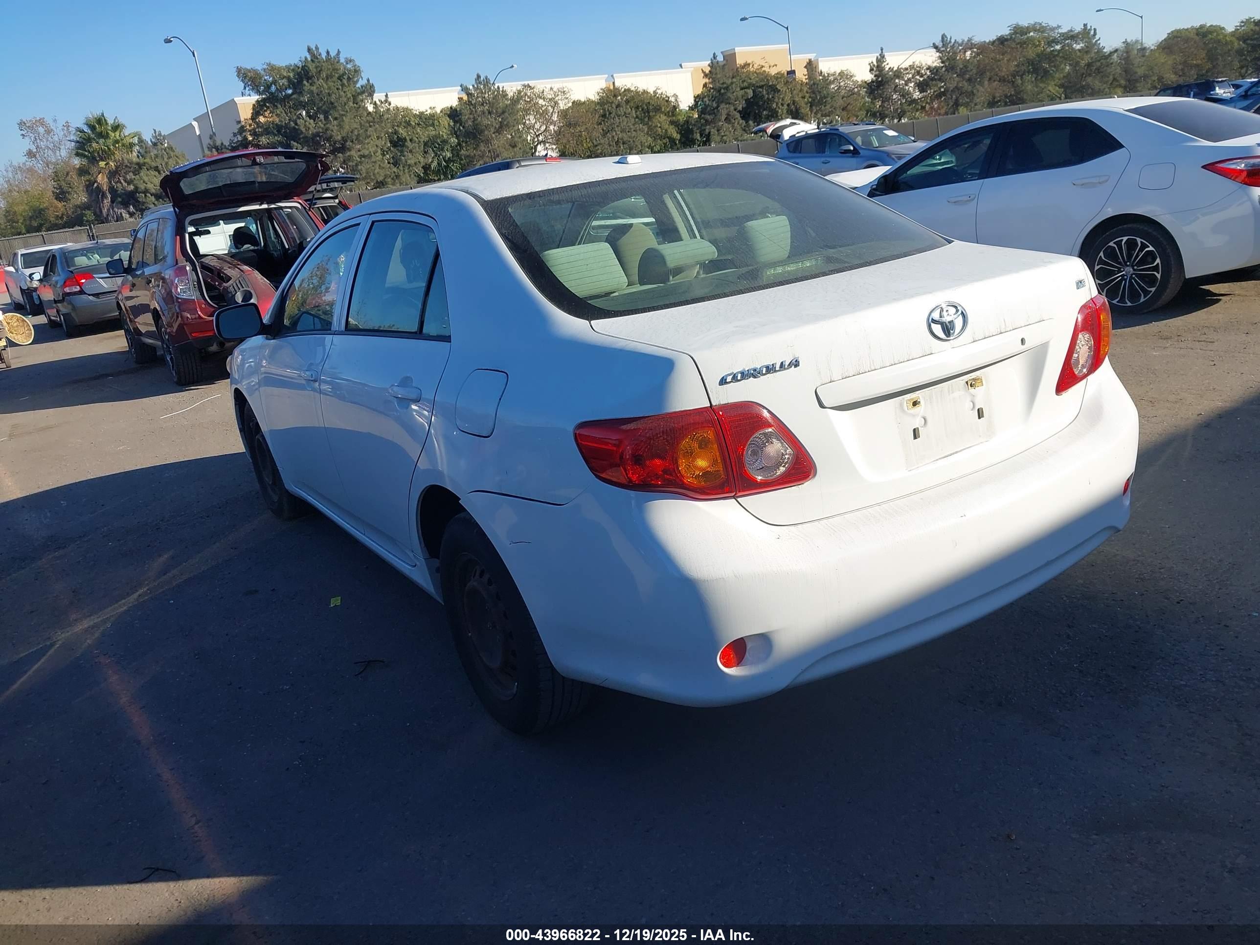 TOYOTA COROLLA image 3