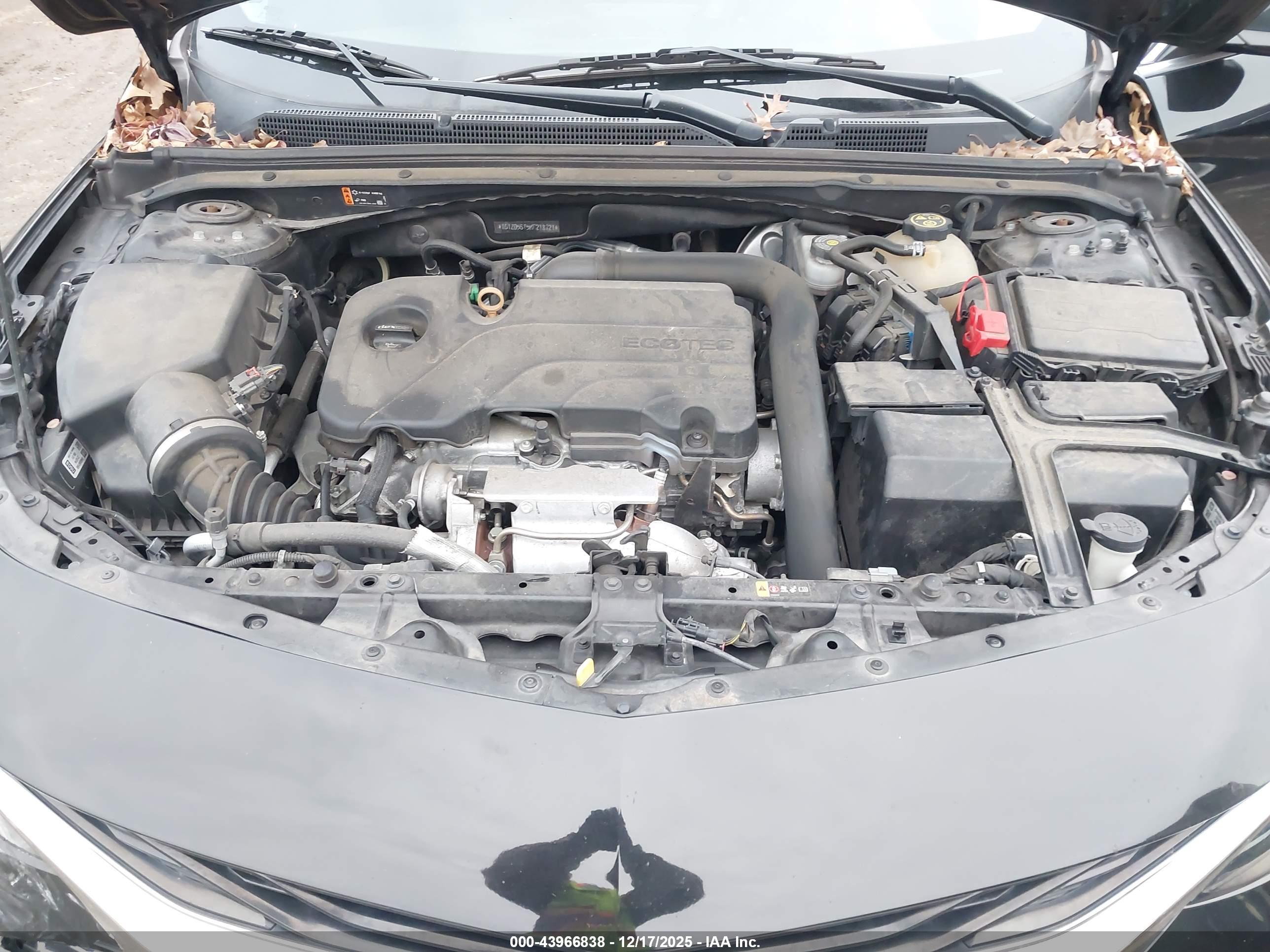 CHEVROLET MALIBU image 10
