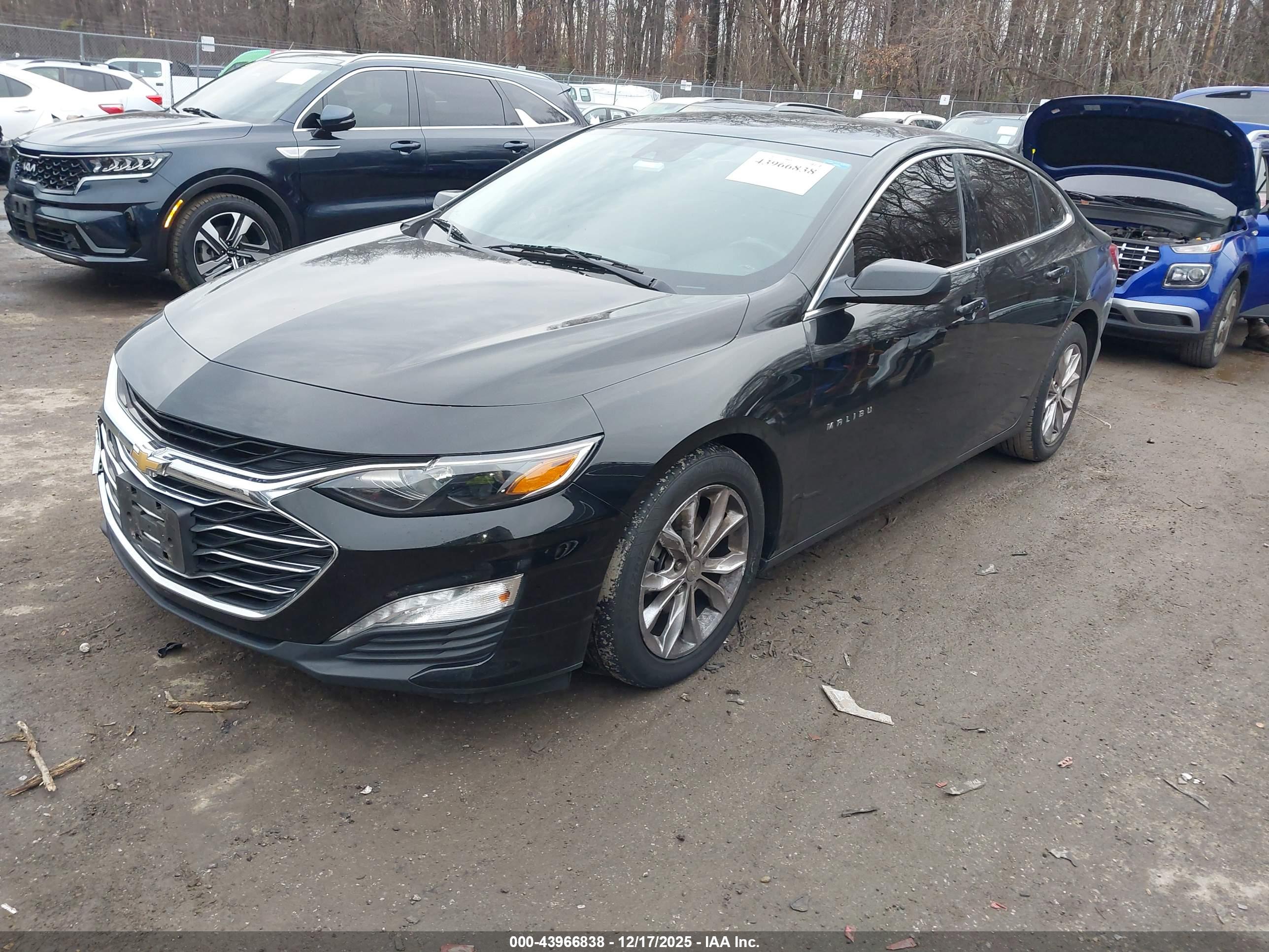 CHEVROLET MALIBU image 2