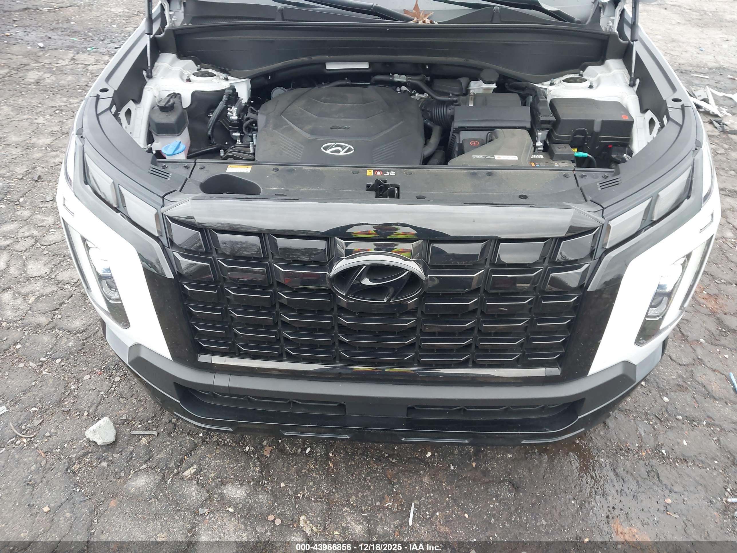 HYUNDAI PALISADE image 10