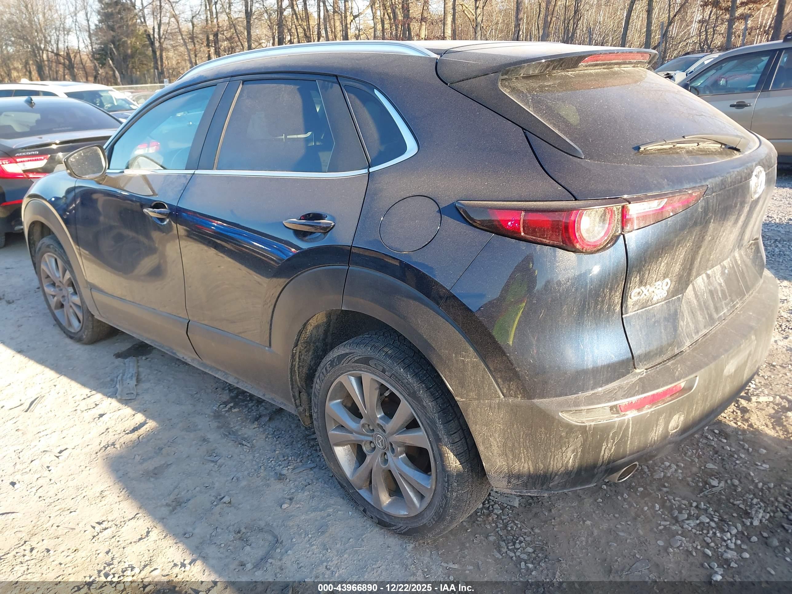MAZDA CX-30 image 3