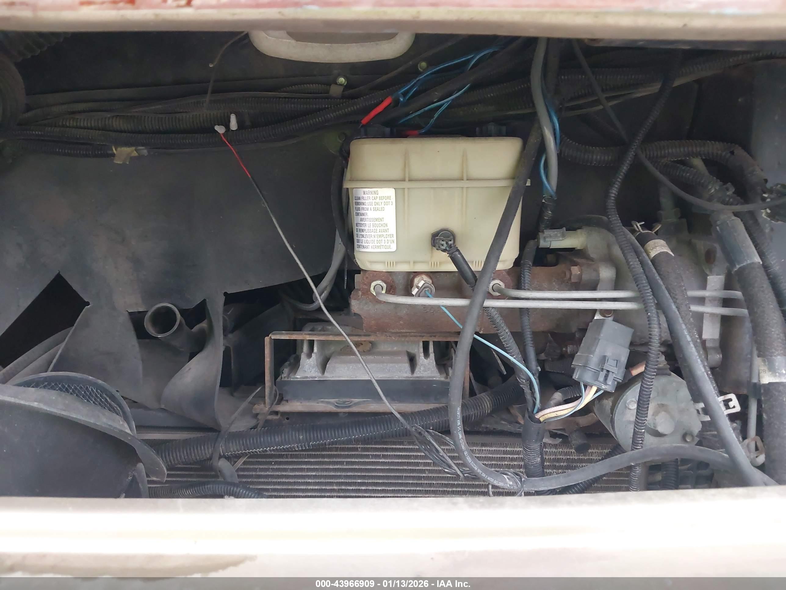 WORKHORSE CUSTOM image 10
