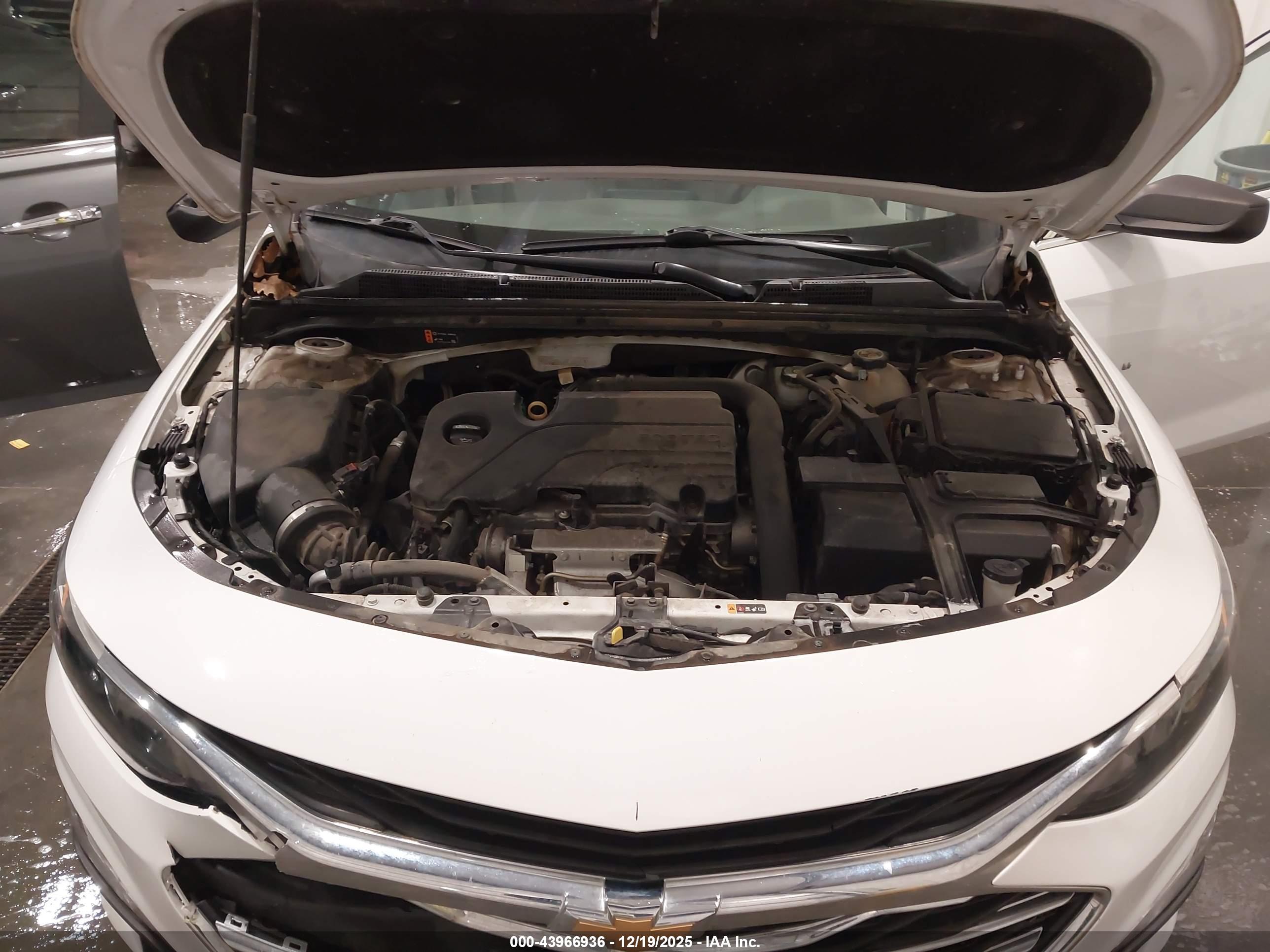 CHEVROLET MALIBU image 10