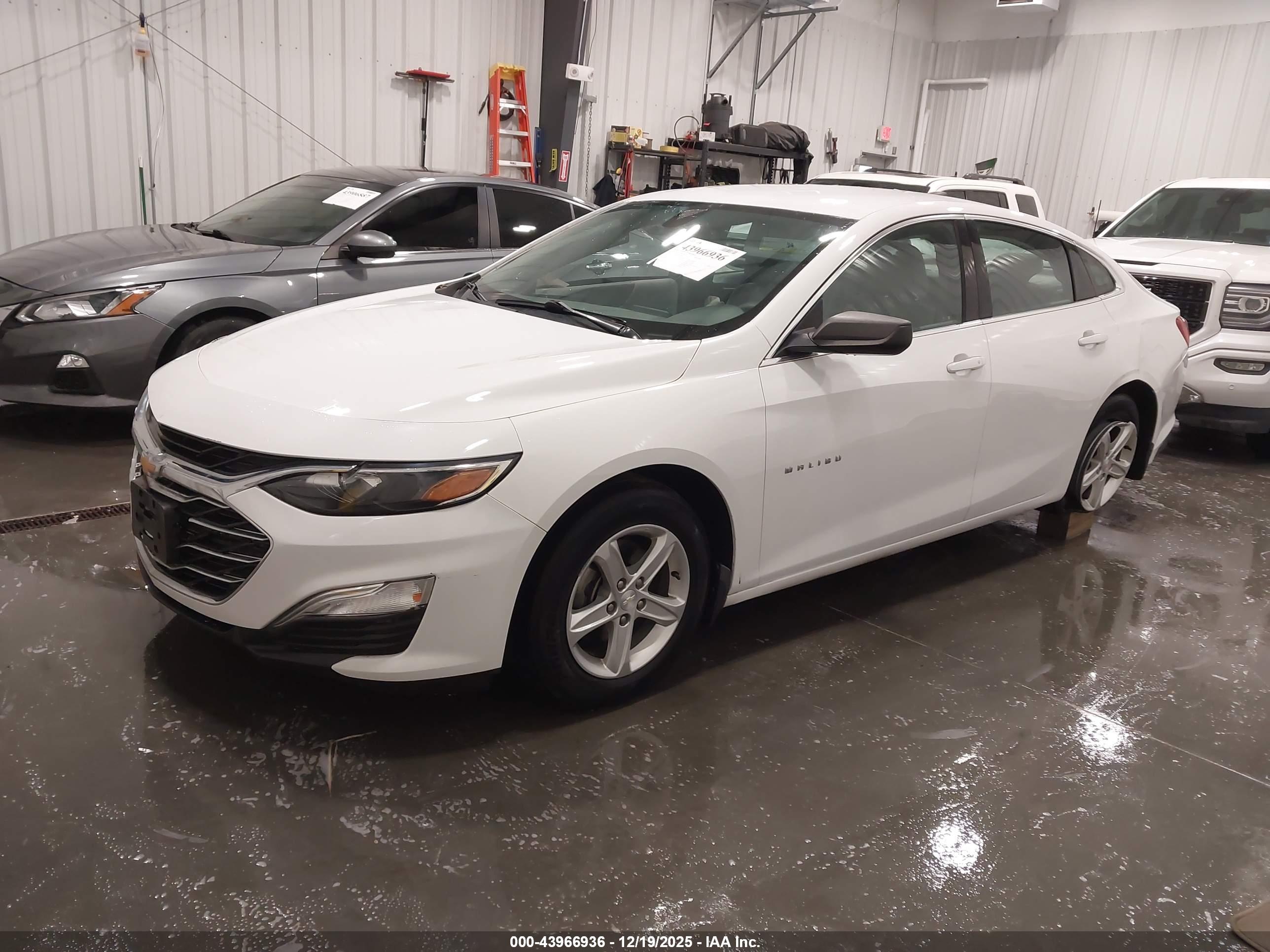 CHEVROLET MALIBU image 2