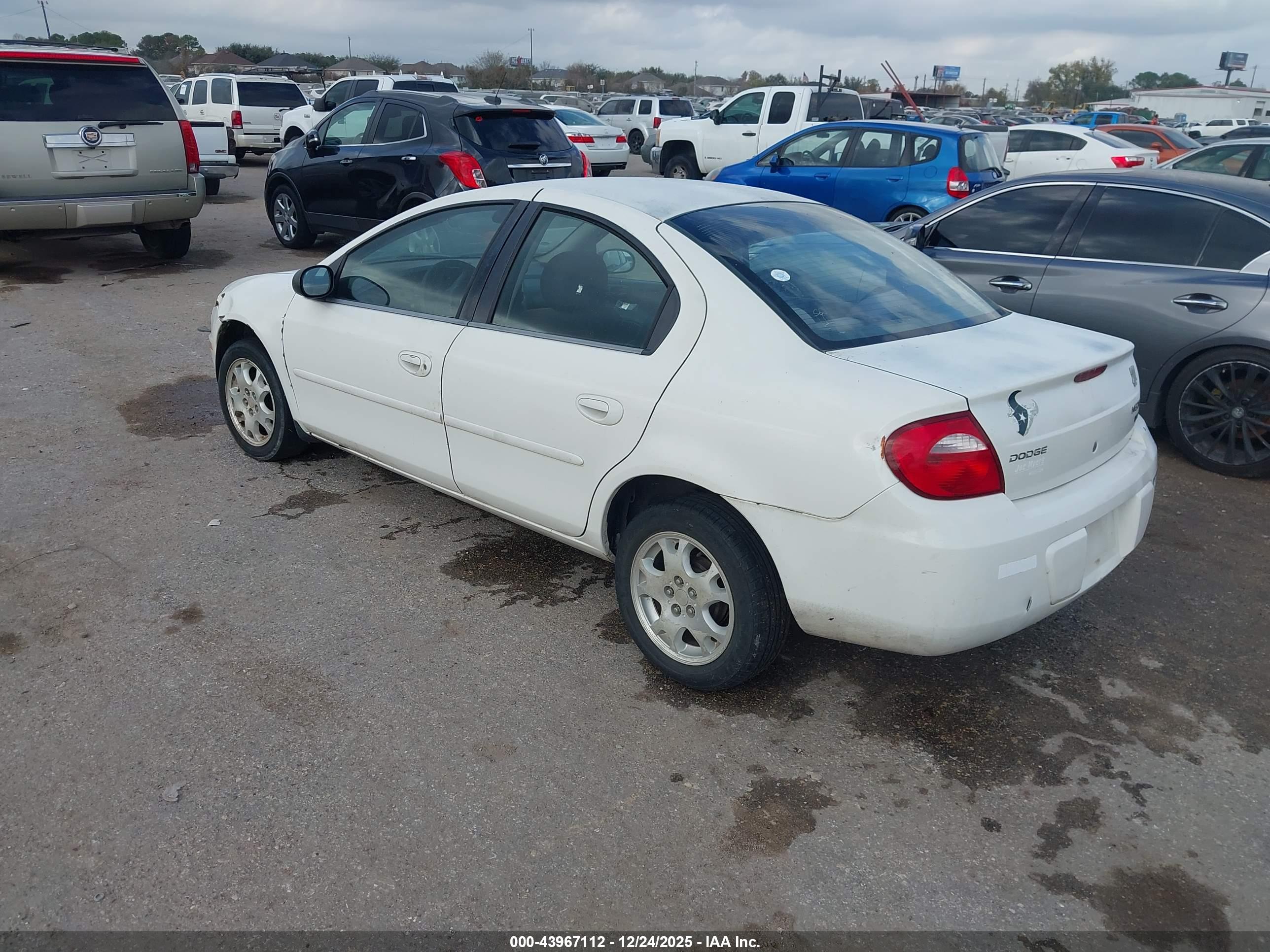 DODGE NEON image 3