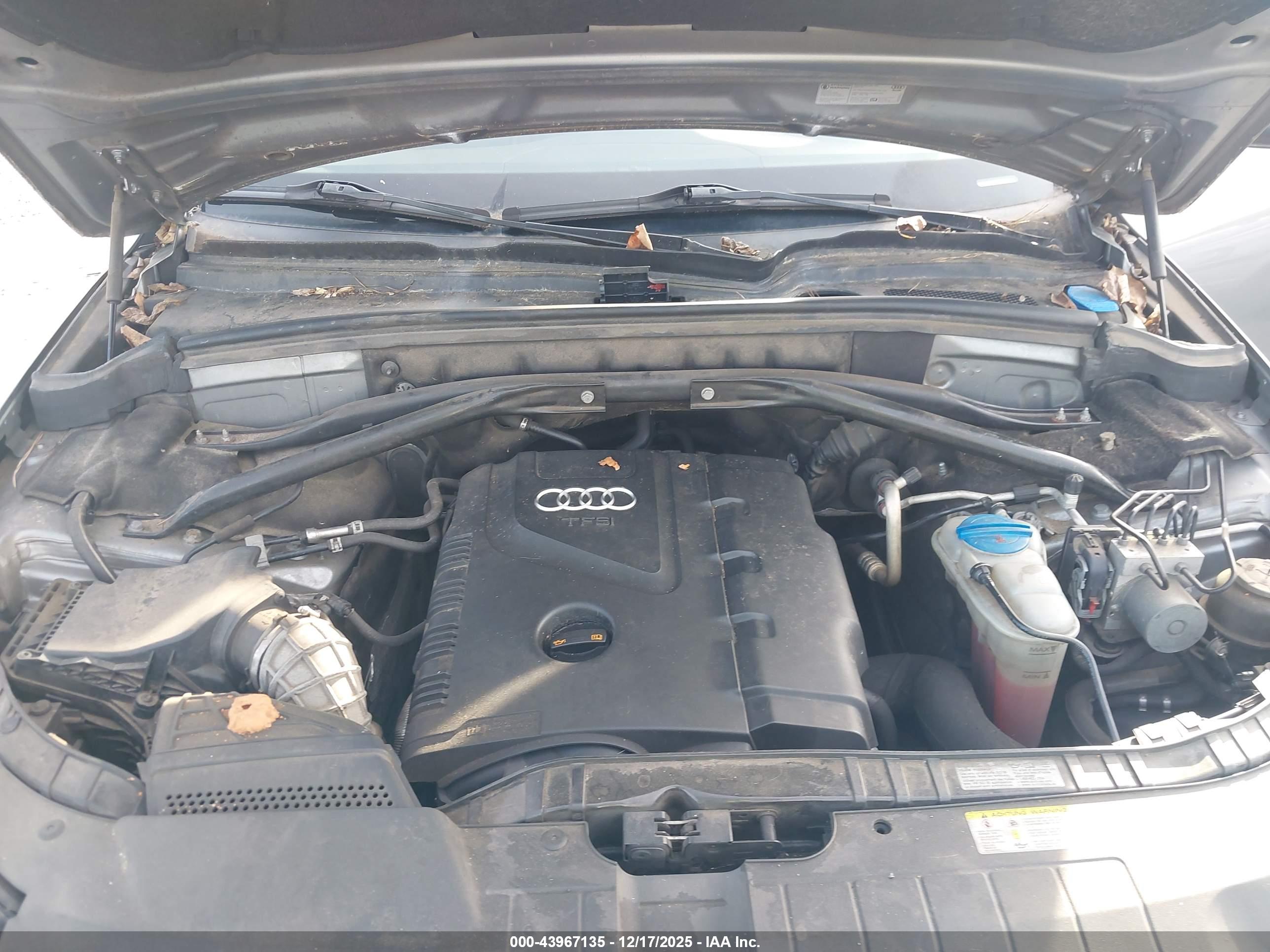 AUDI Q5 image 10