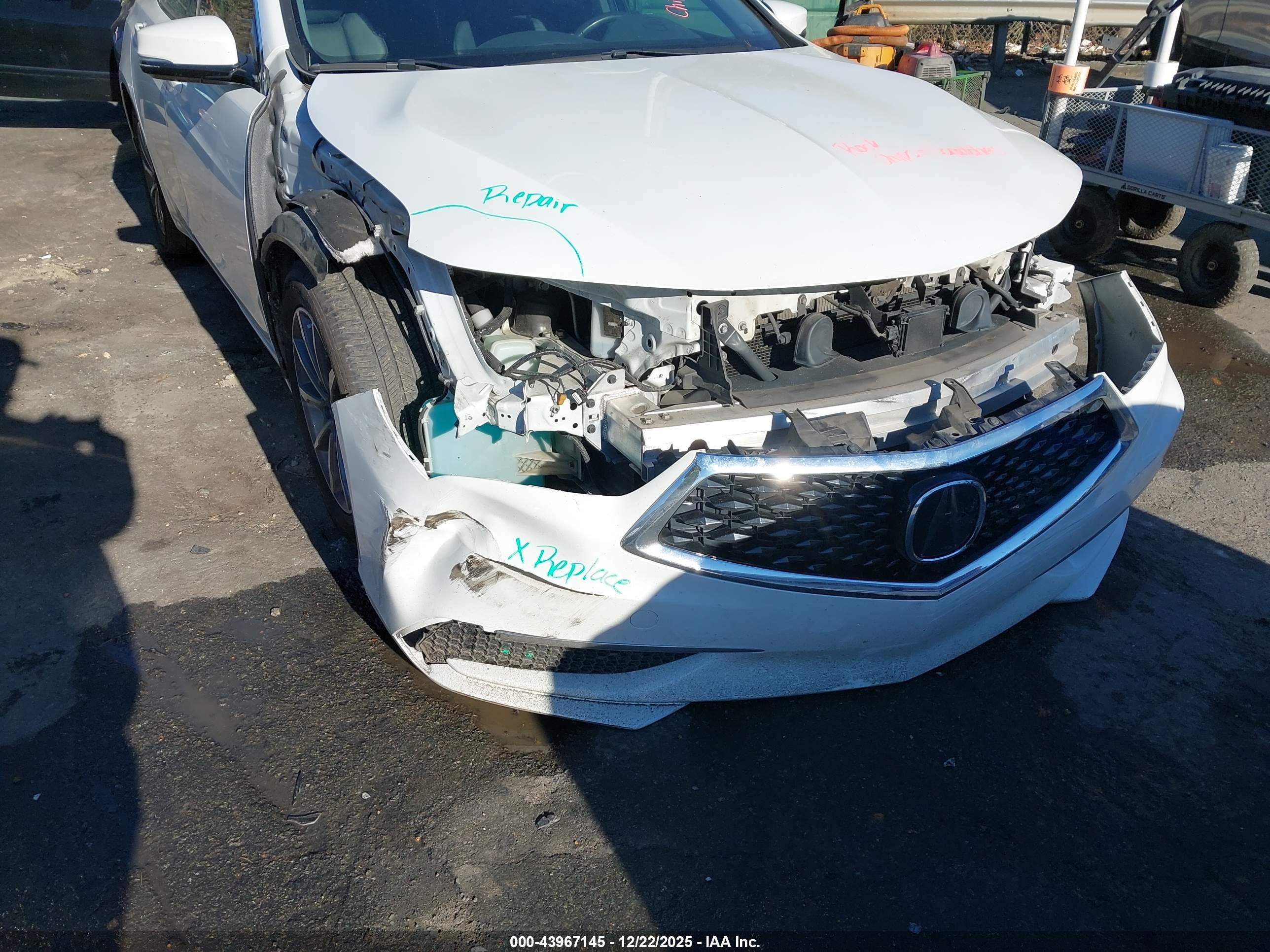 ACURA TLX image 6