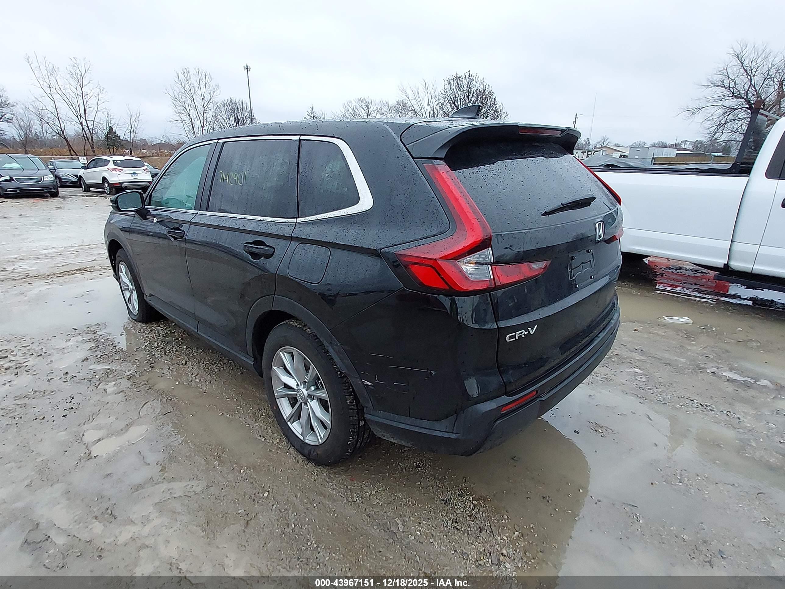 HONDA CR-V image 3