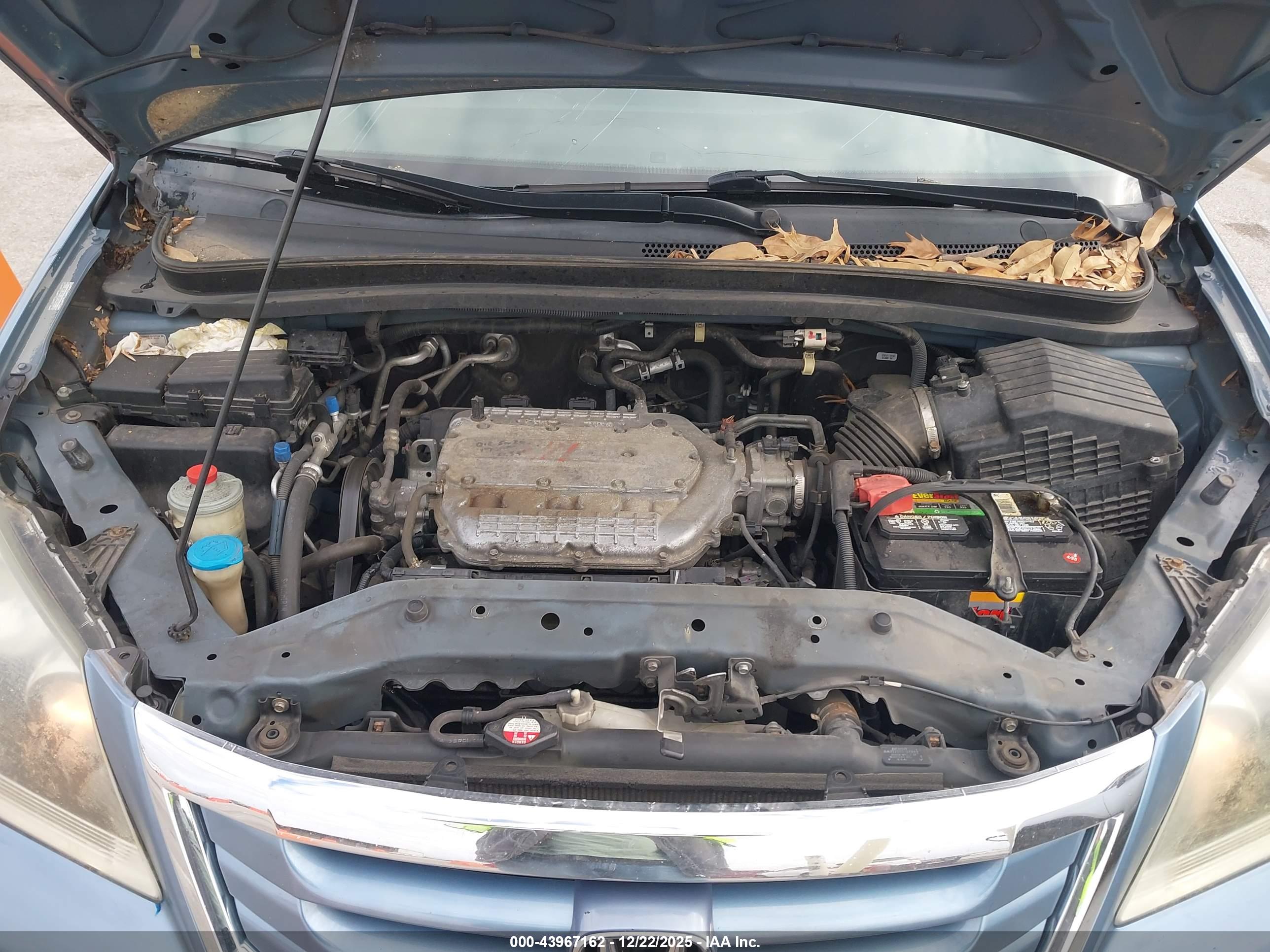 HONDA ODYSSEY image 10