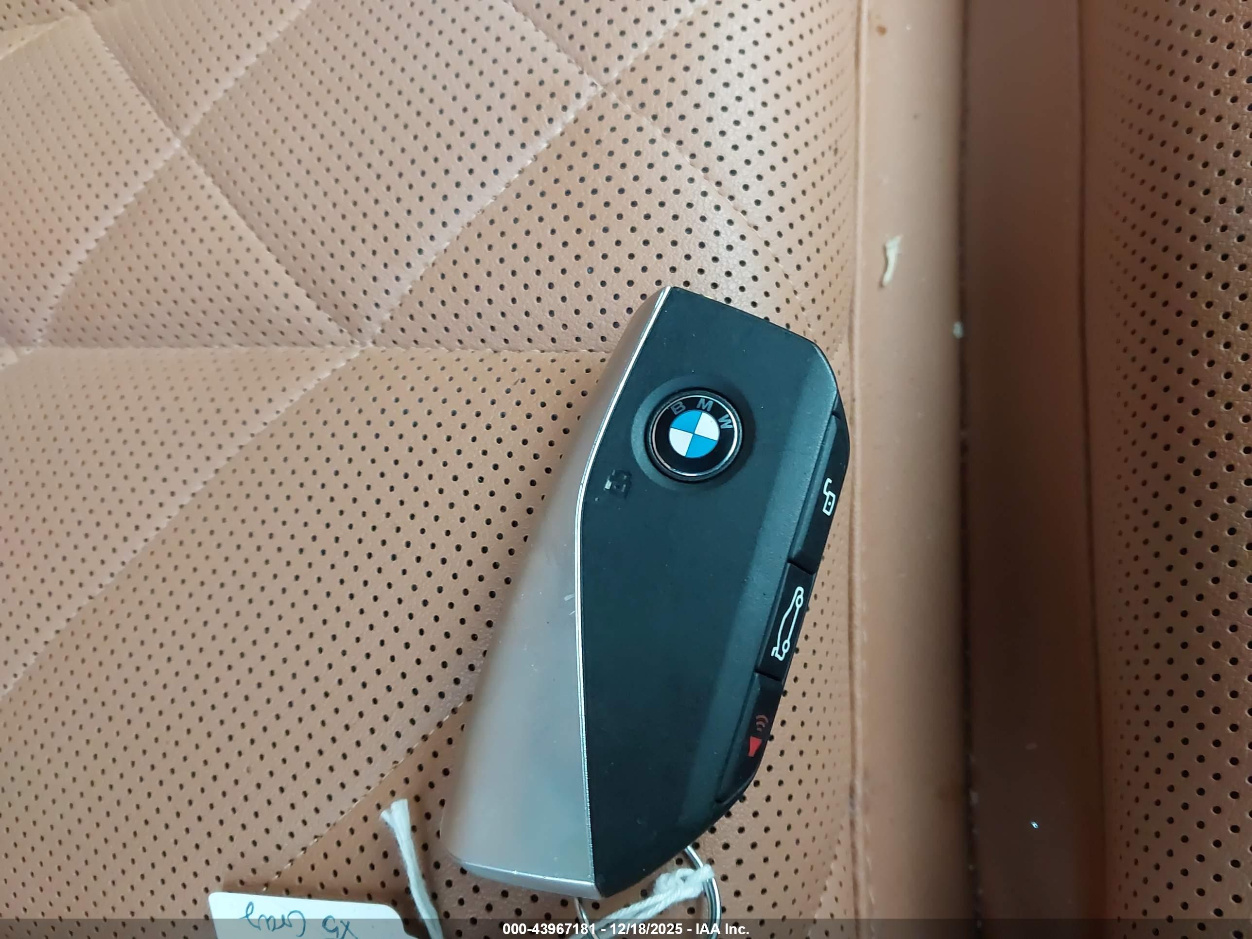 BMW X5 image 11