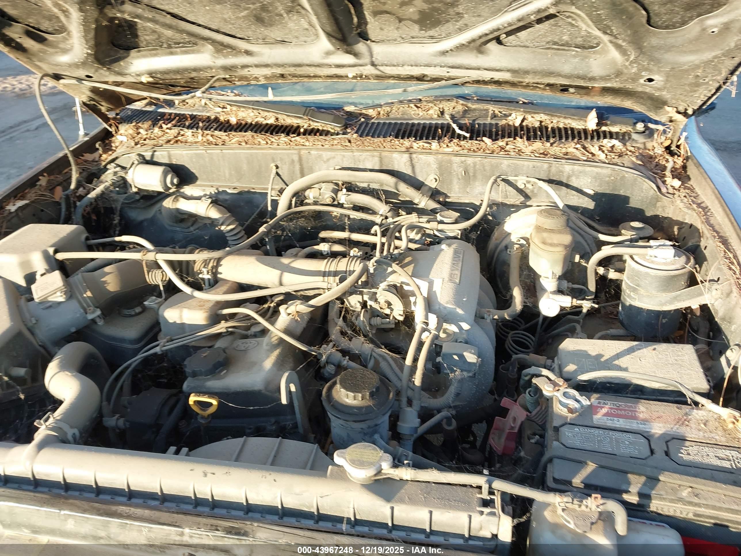 TOYOTA TACOMA image 10