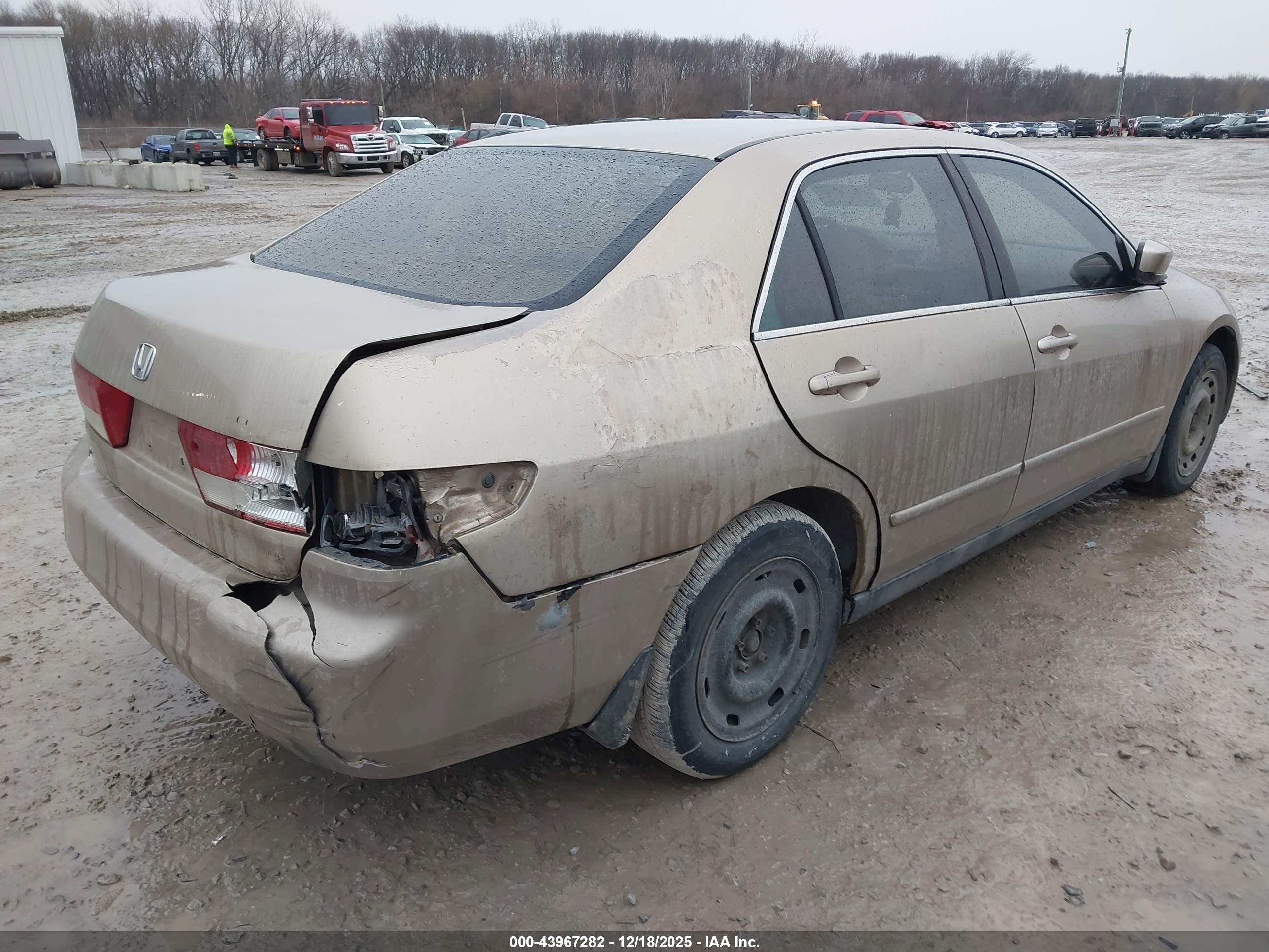 HONDA ACCORD image 4