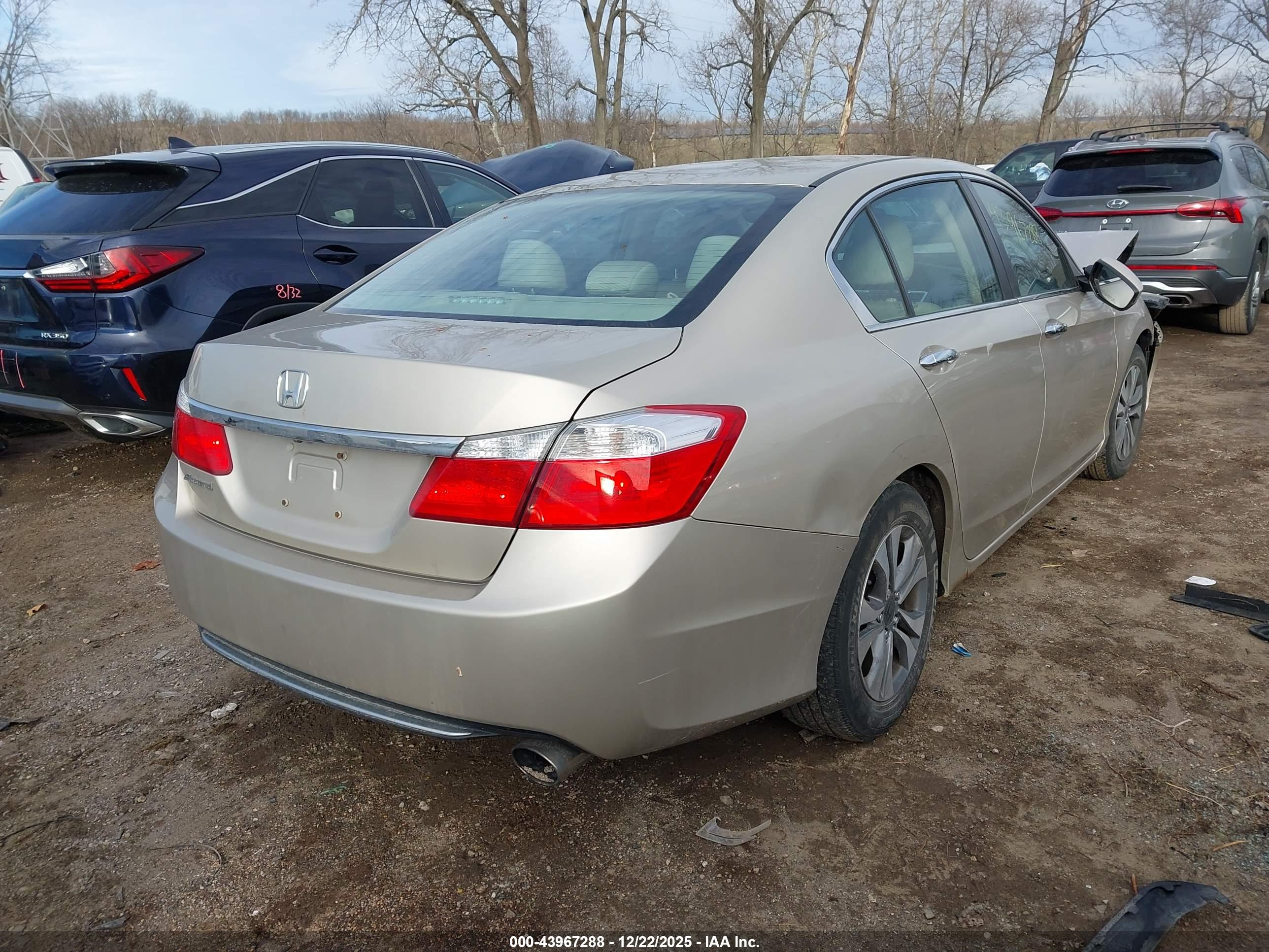 HONDA ACCORD image 4
